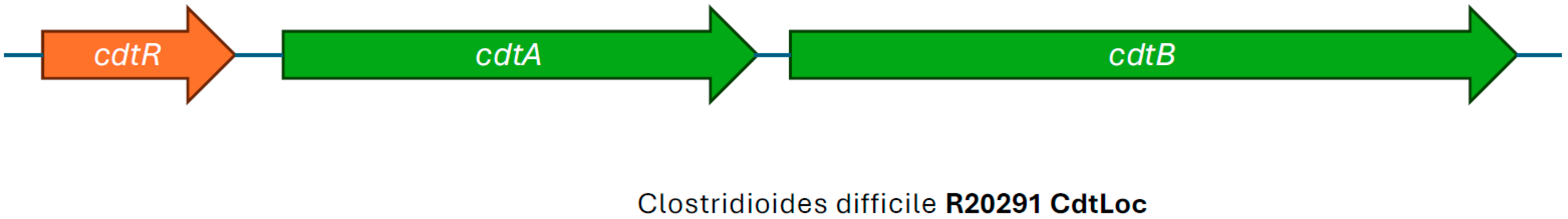 Microorganisms 13 02376 g004 Microorganisms 13 02376 g004