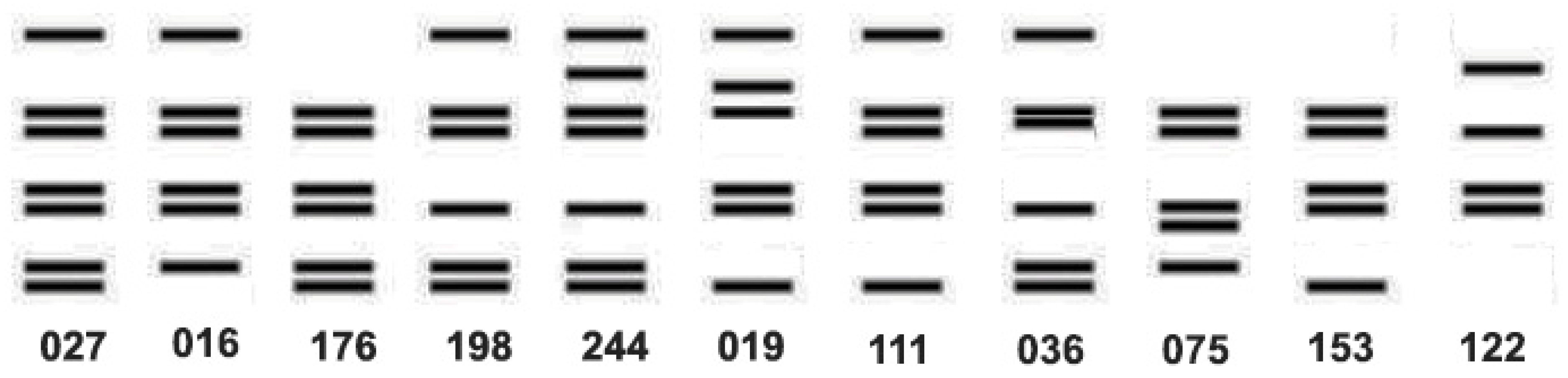 Microorganisms 13 02376 g006 Microorganisms 13 02376 g006