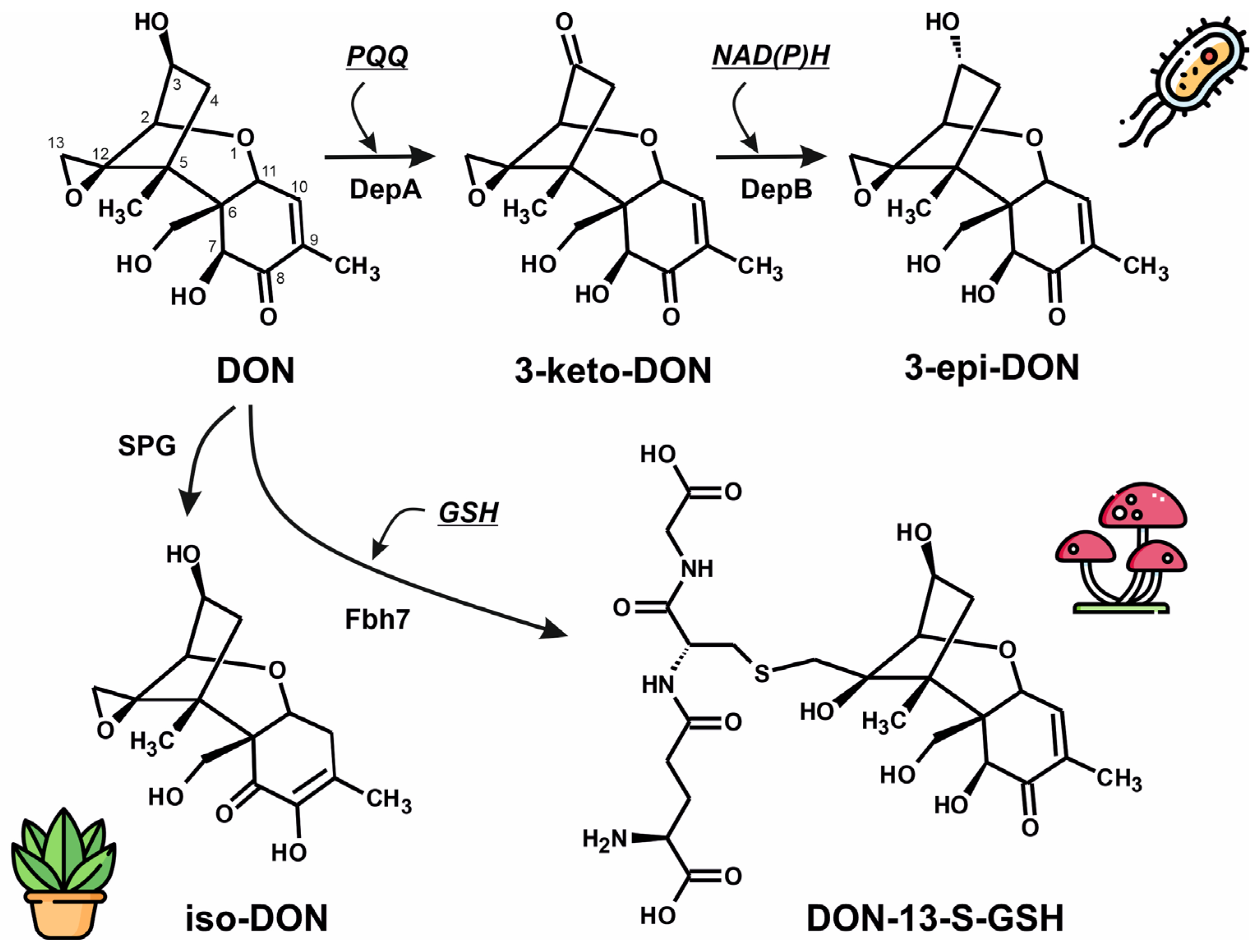 Microorganisms 13 02384 g001 Microorganisms 13 02384 g001