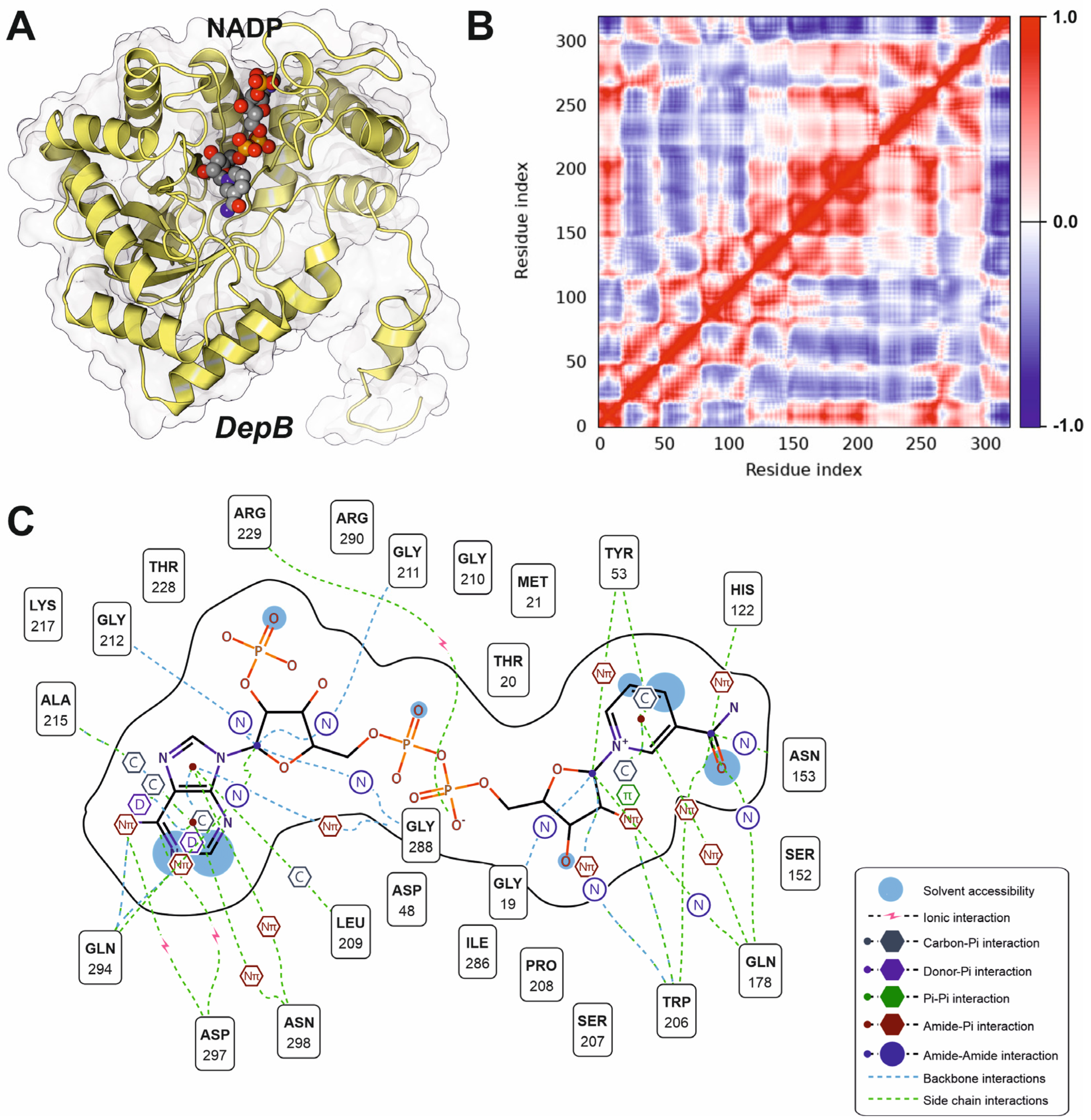 Microorganisms 13 02384 g005 Microorganisms 13 02384 g005