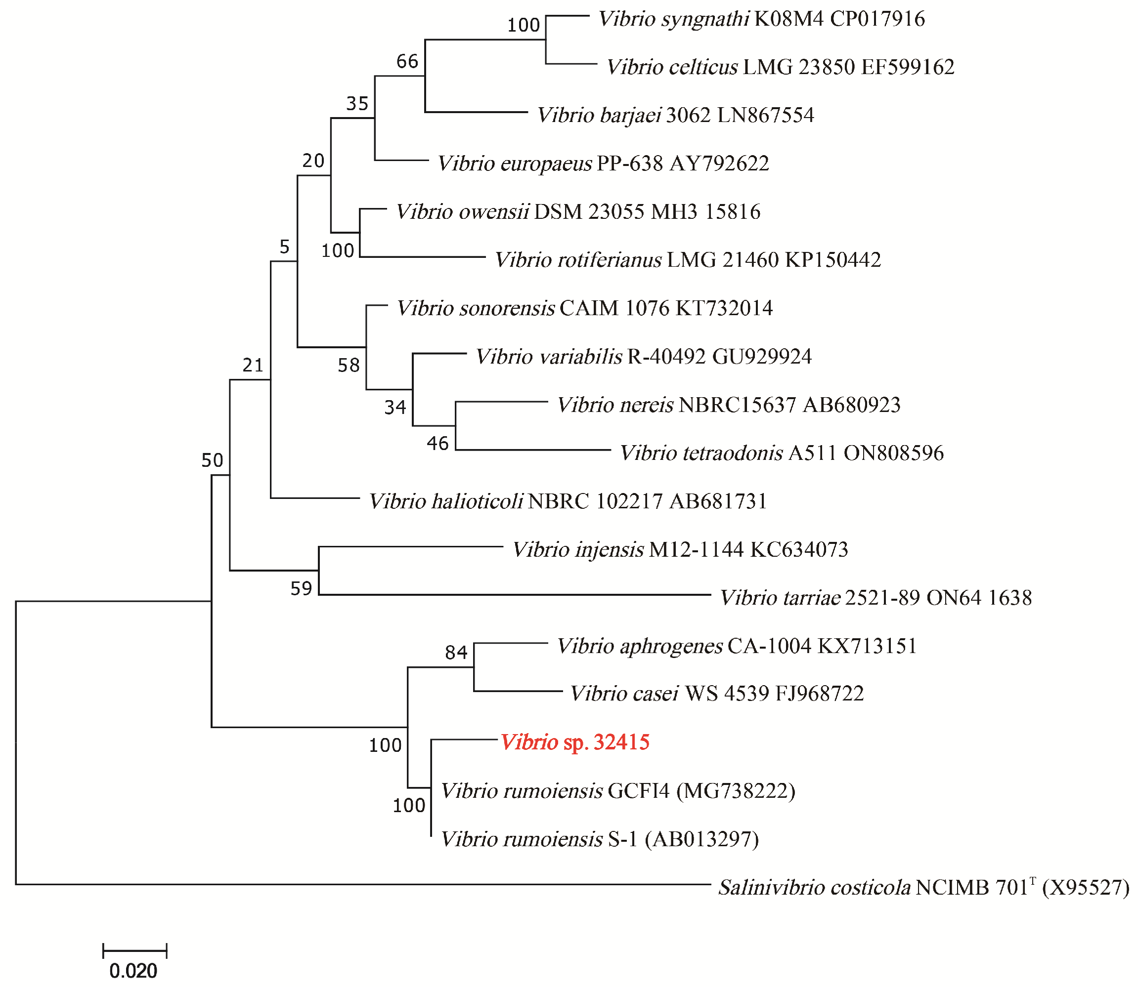 Microorganisms 13 02385 g002