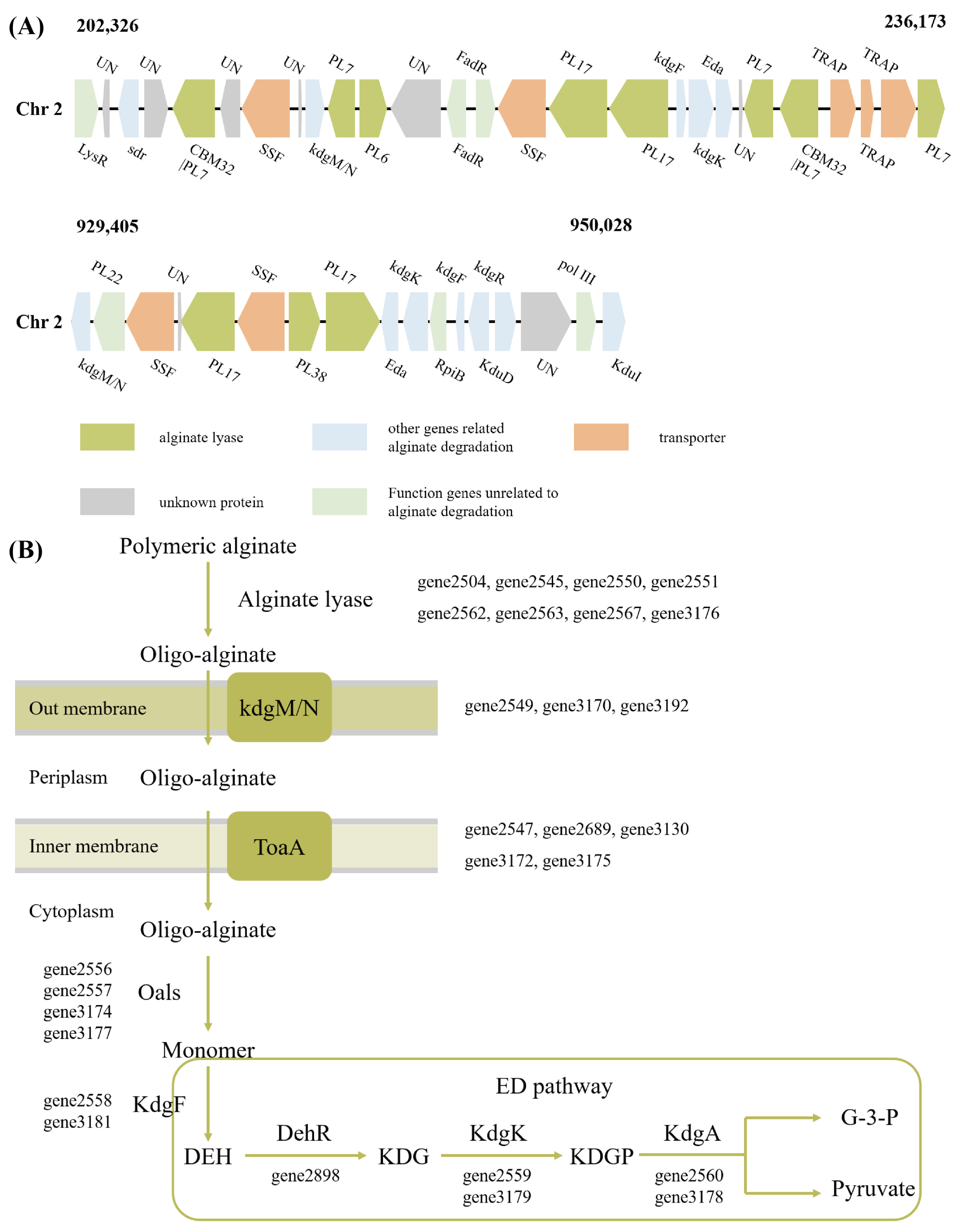 Microorganisms 13 02385 g005