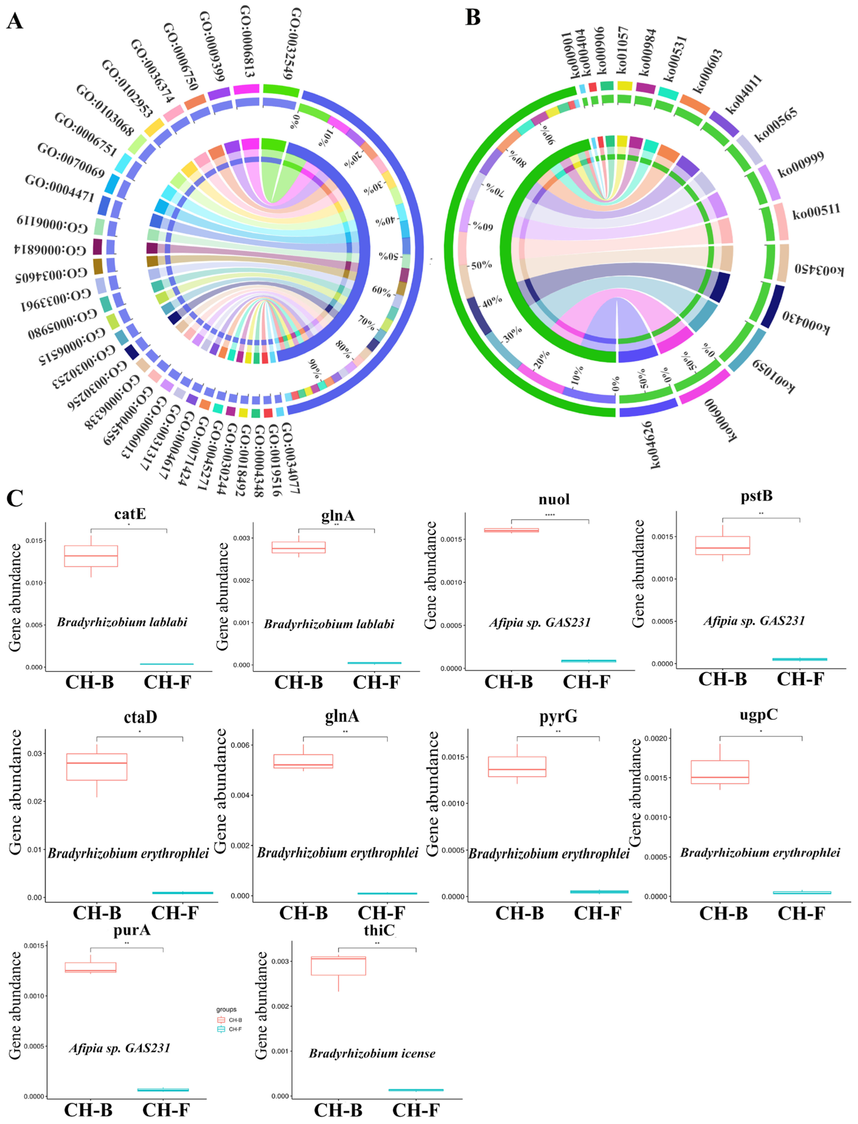 Microorganisms 13 02387 g004