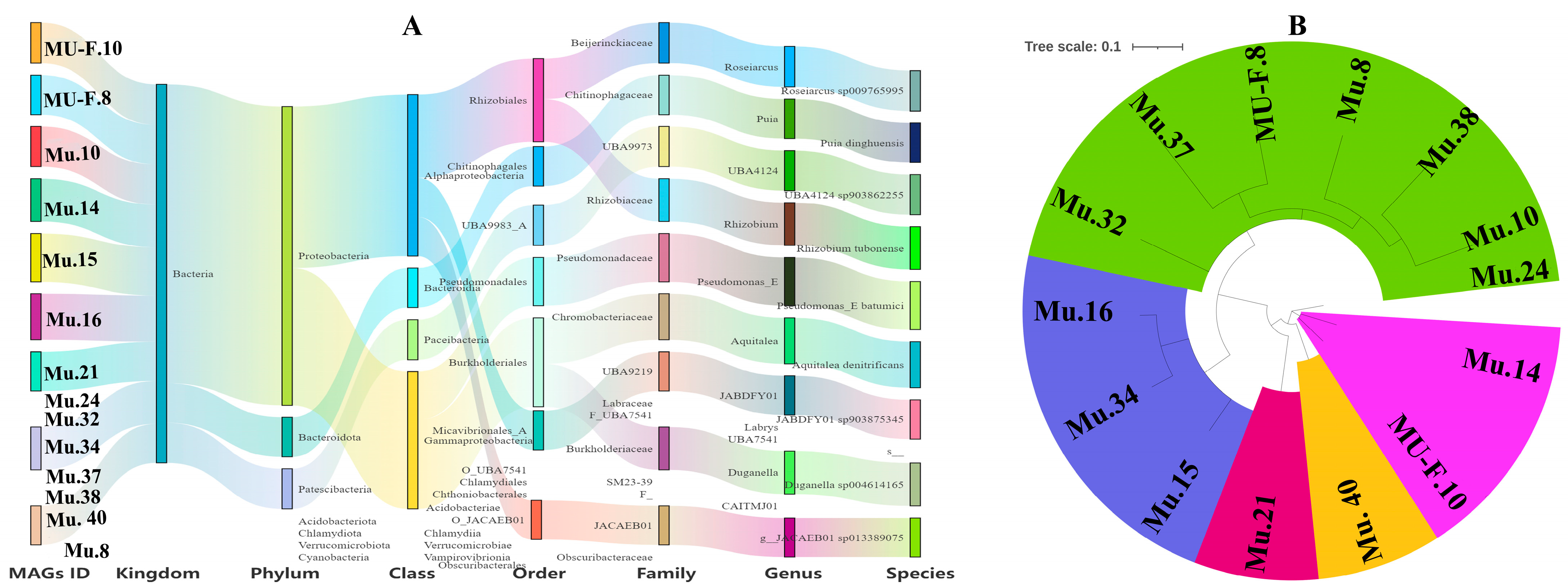 Microorganisms 13 02387 g005