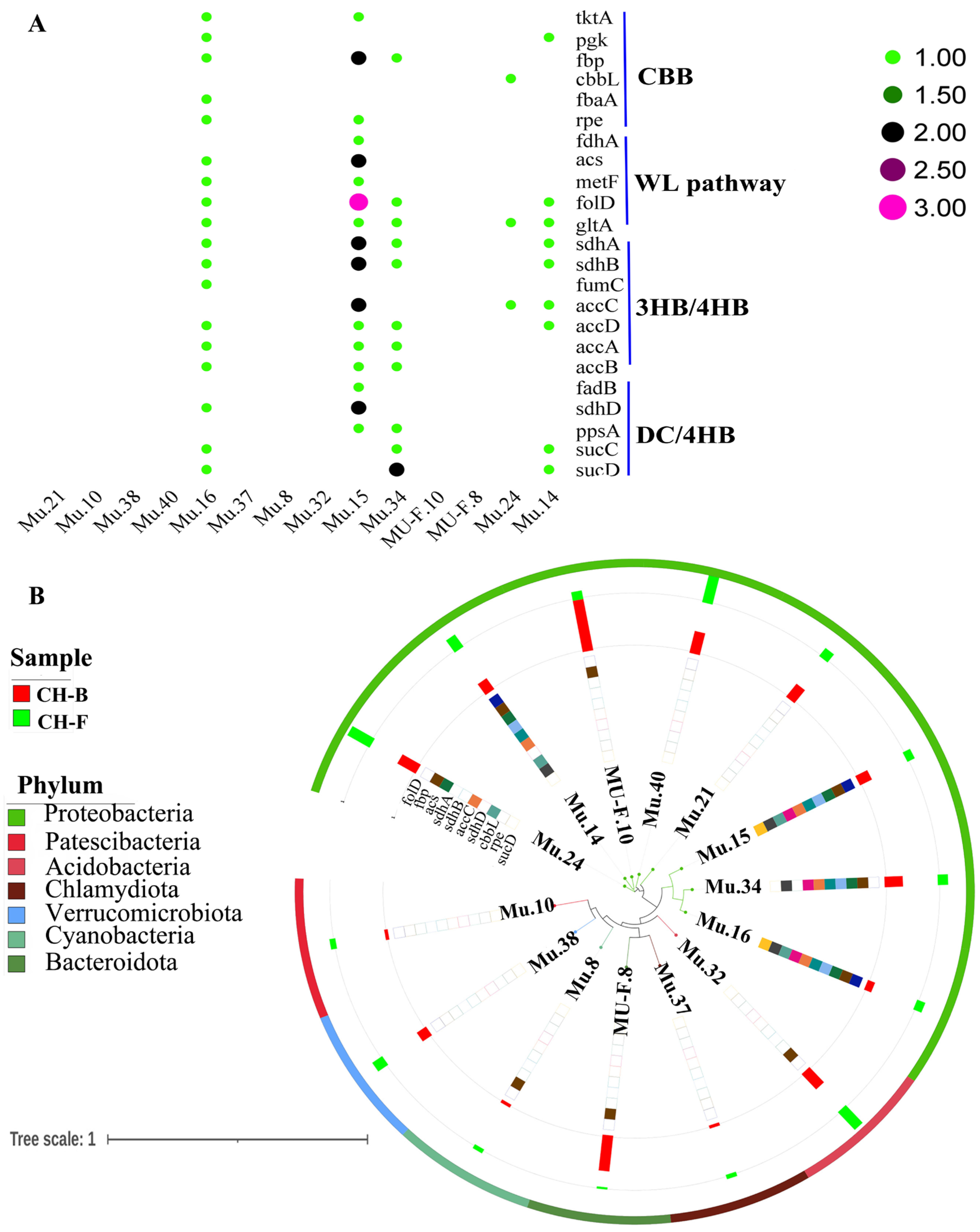 Microorganisms 13 02387 g006