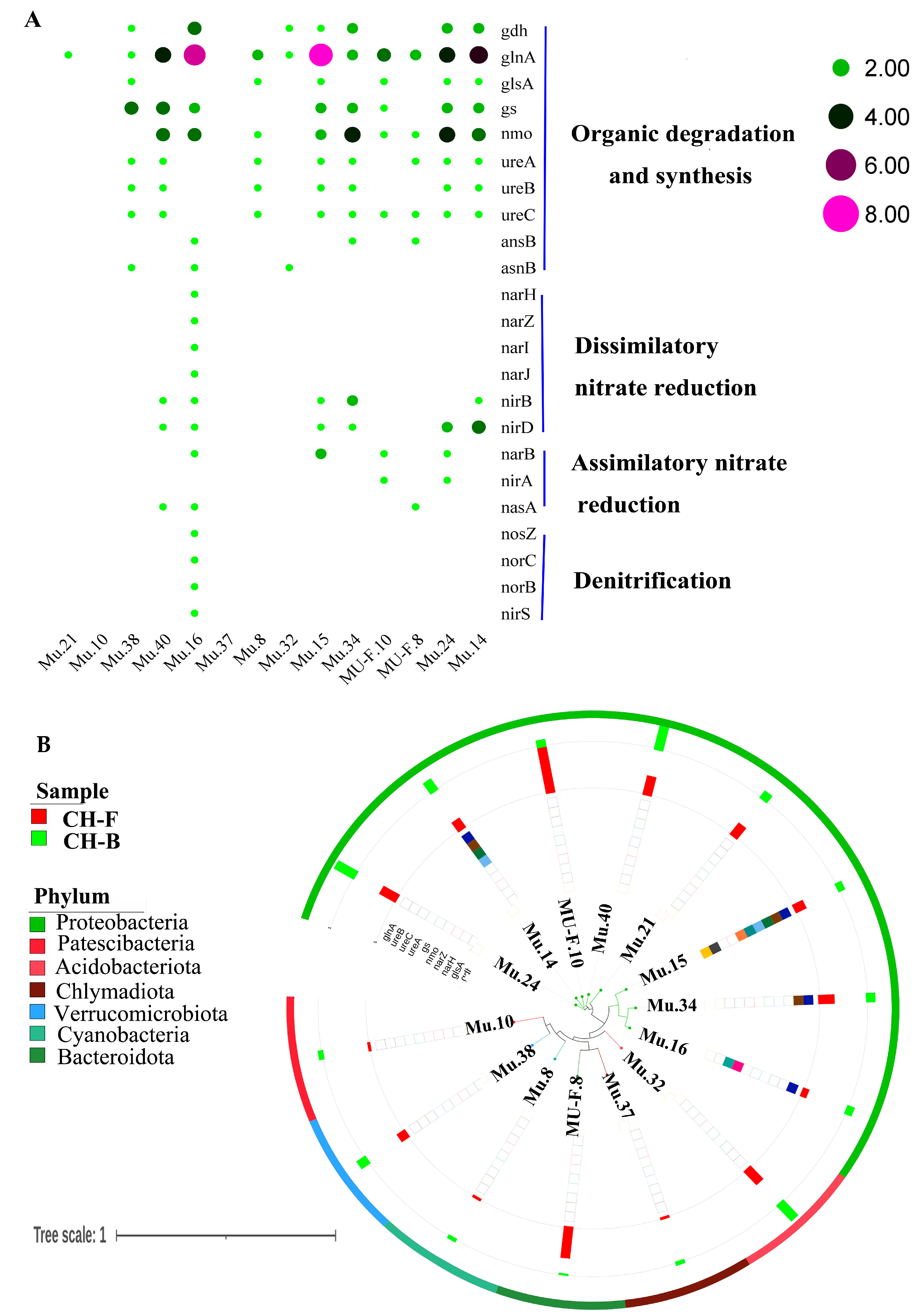 Microorganisms 13 02387 g007