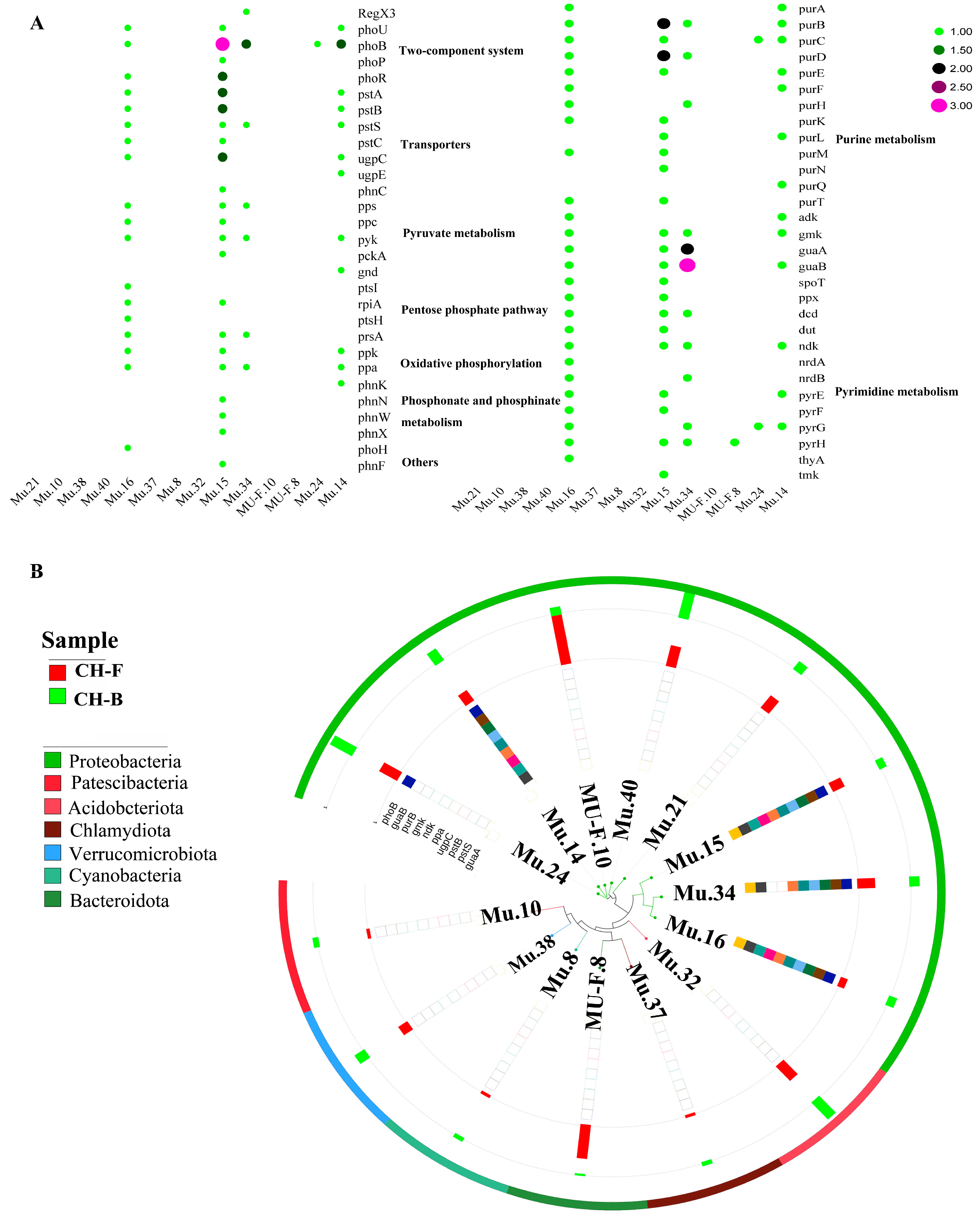 Microorganisms 13 02387 g008