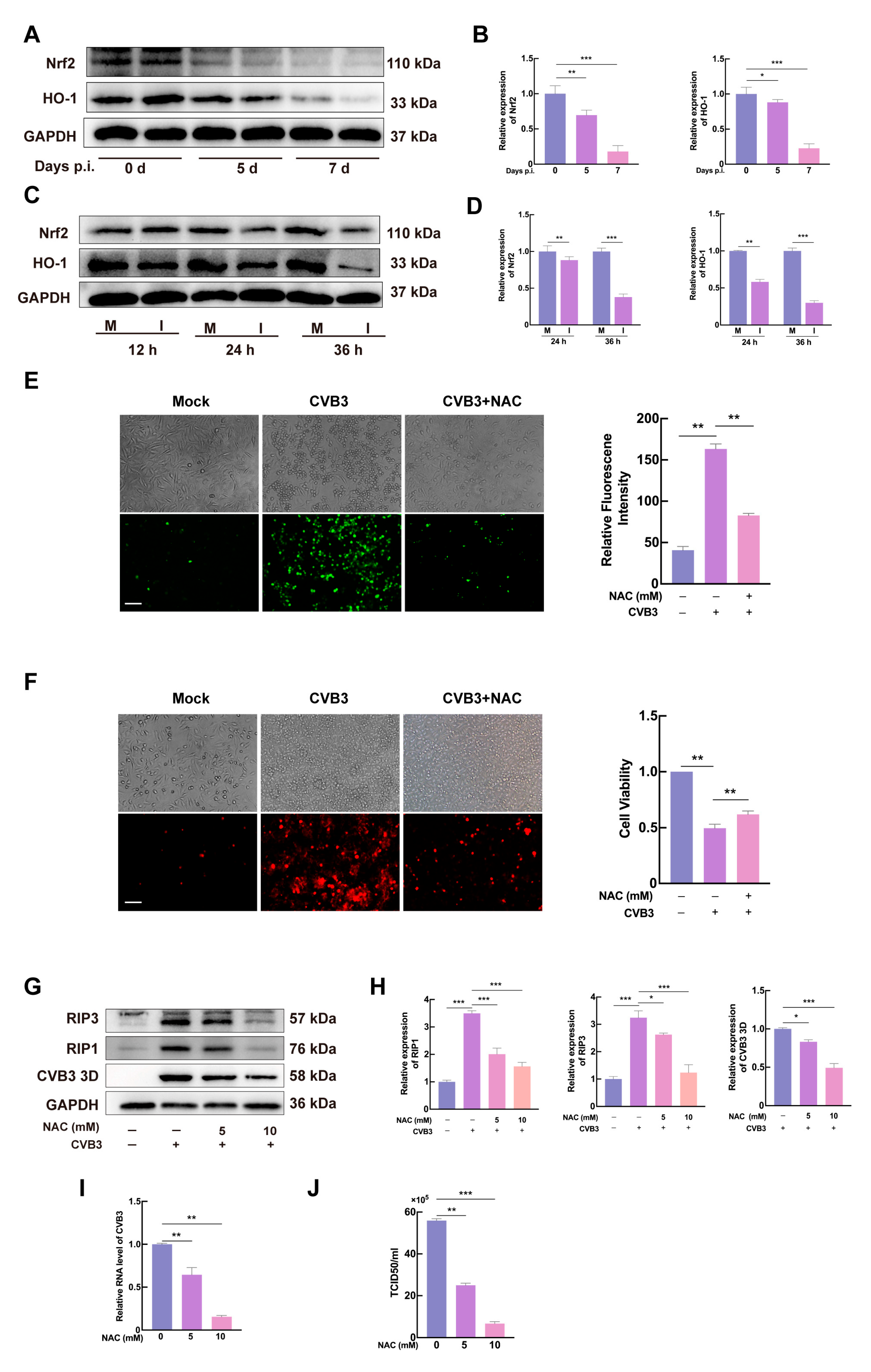 Microorganisms 13 02389 g005