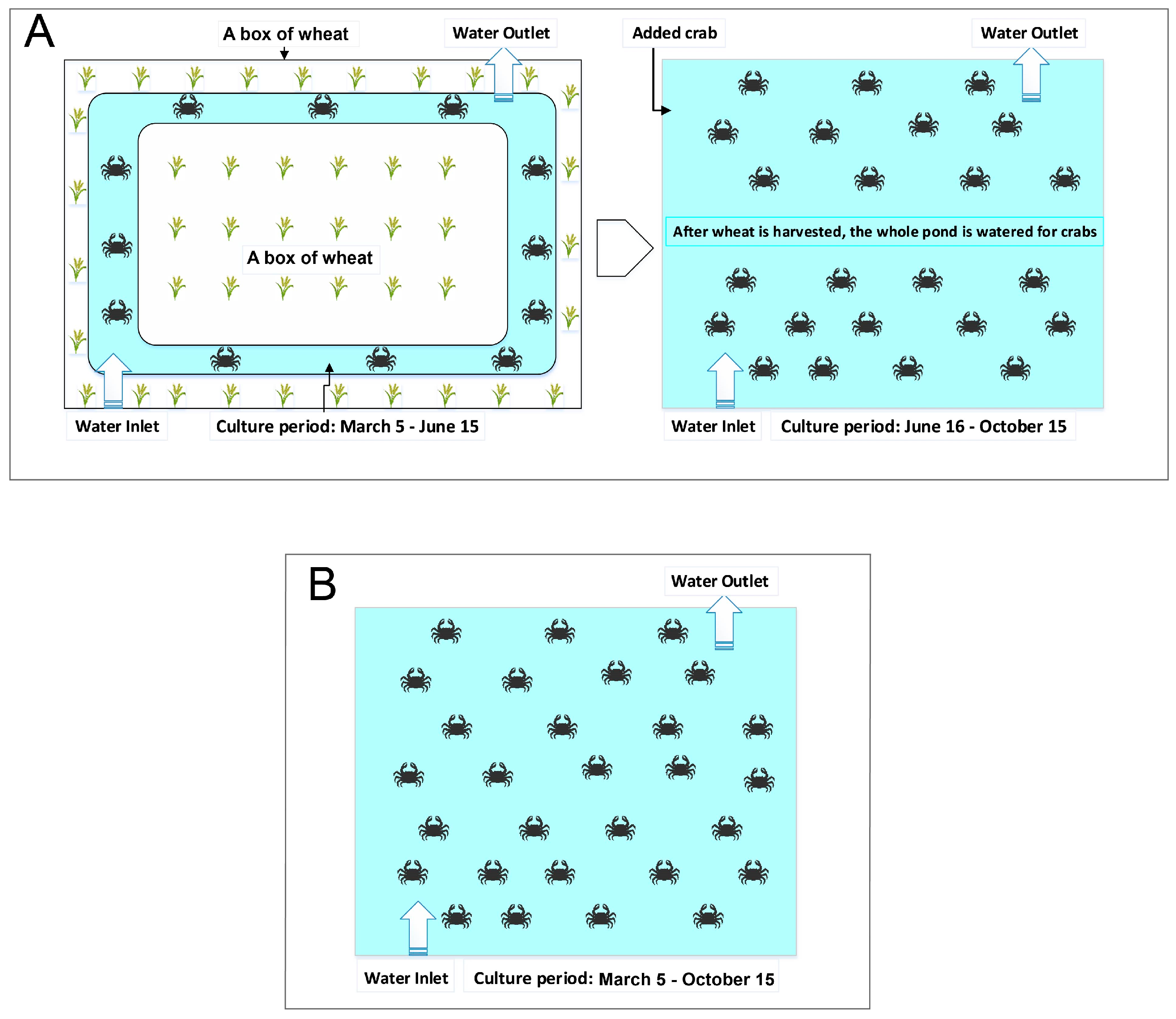 Microorganisms 13 02396 g001