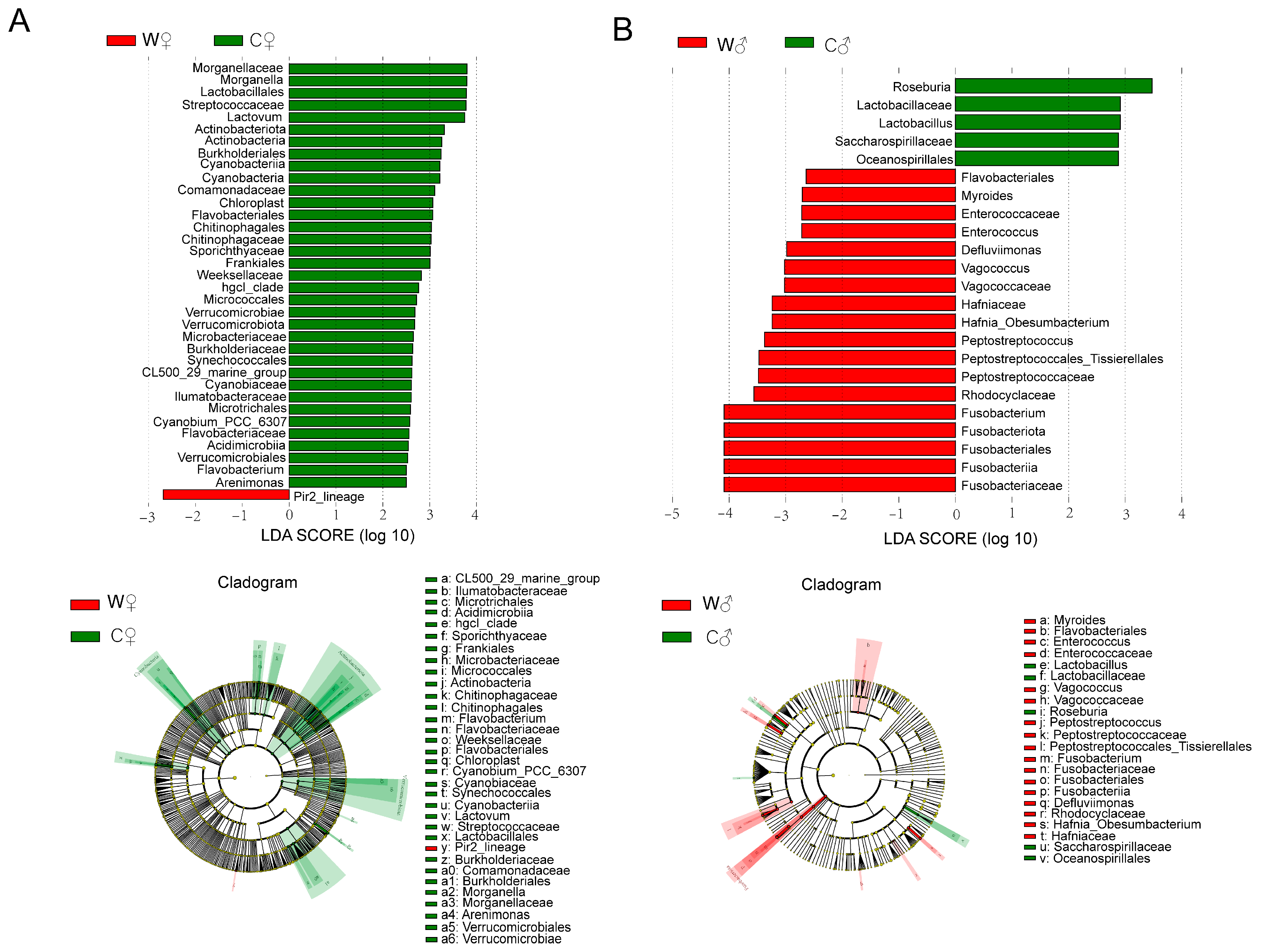 Microorganisms 13 02396 g006