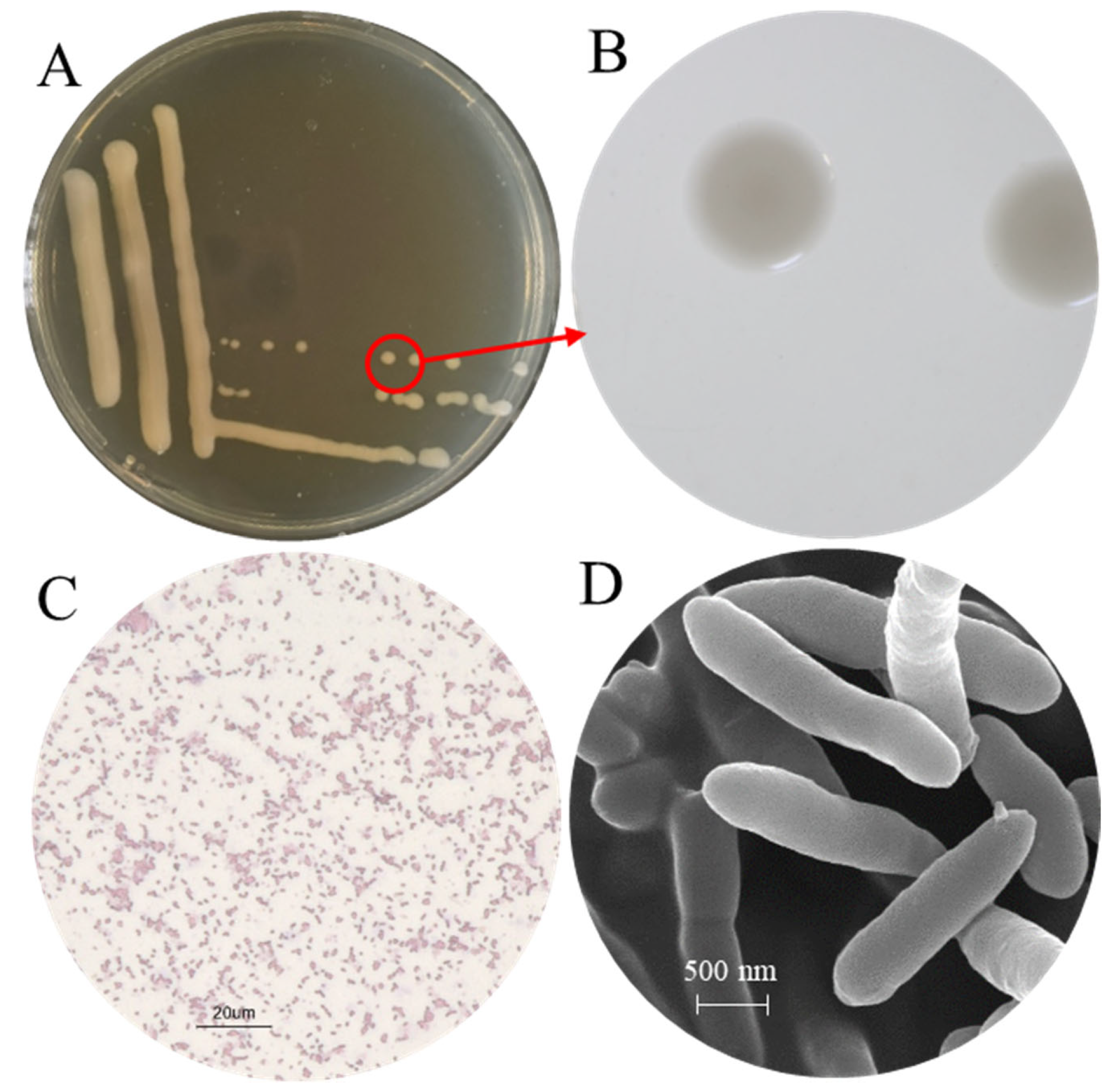 Microorganisms 13 02400 g002