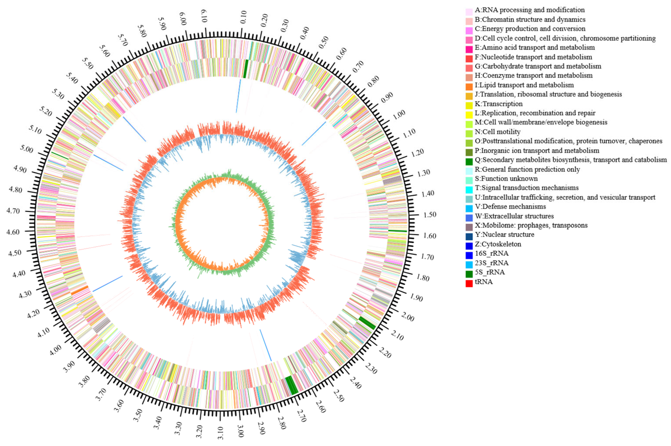 Microorganisms 13 02400 g004