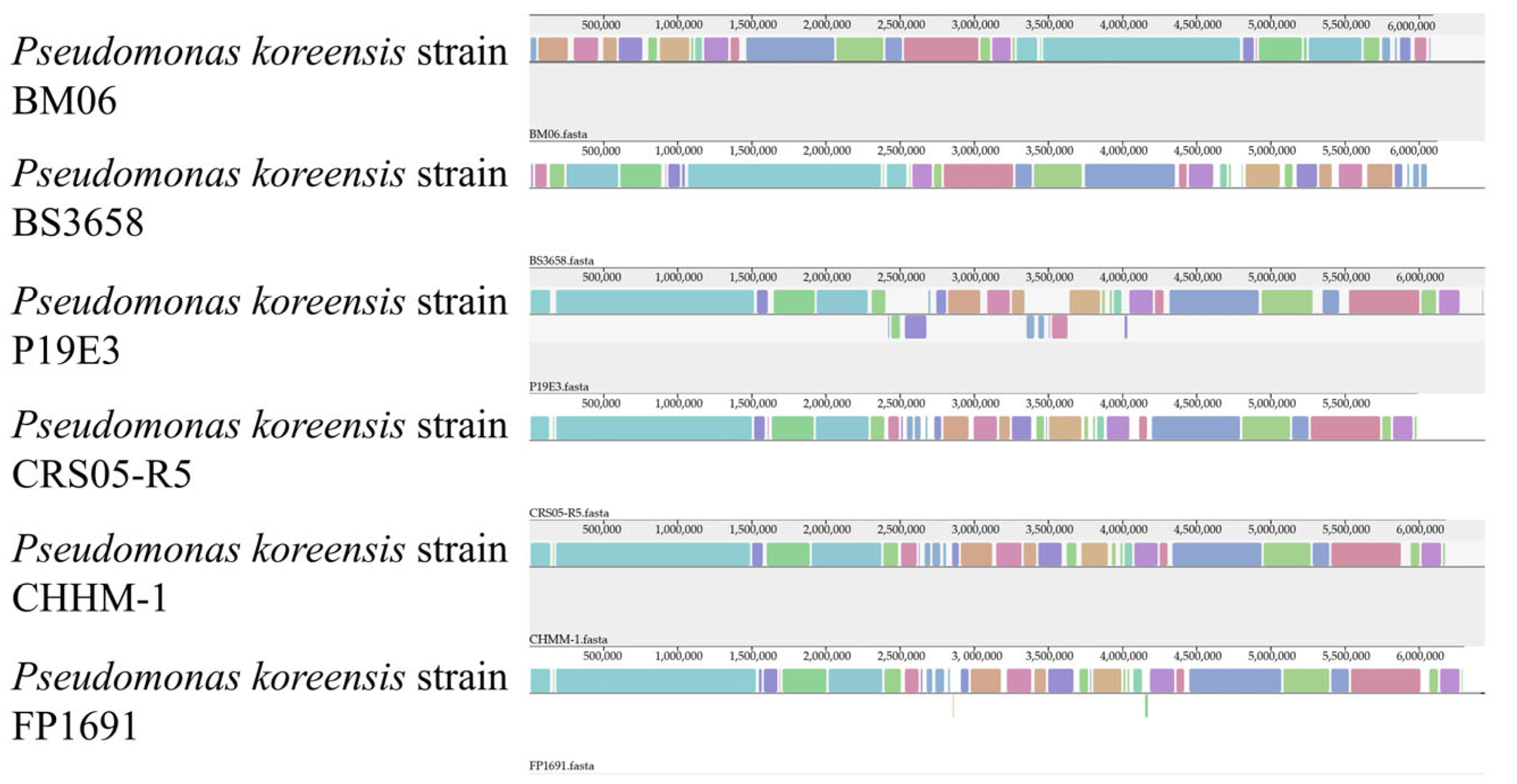 Microorganisms 13 02400 g006