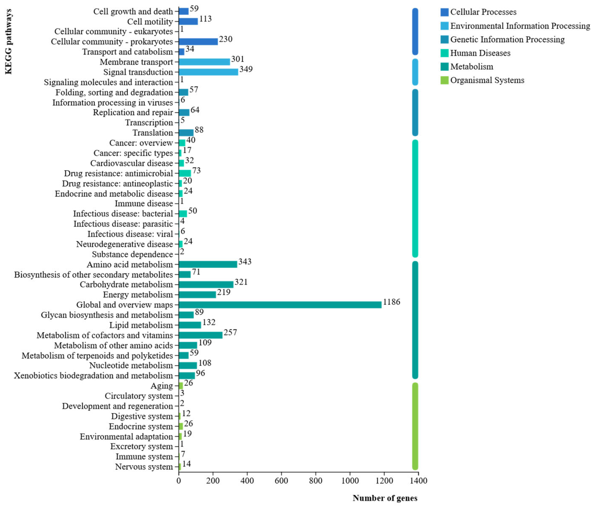 Microorganisms 13 02400 g010