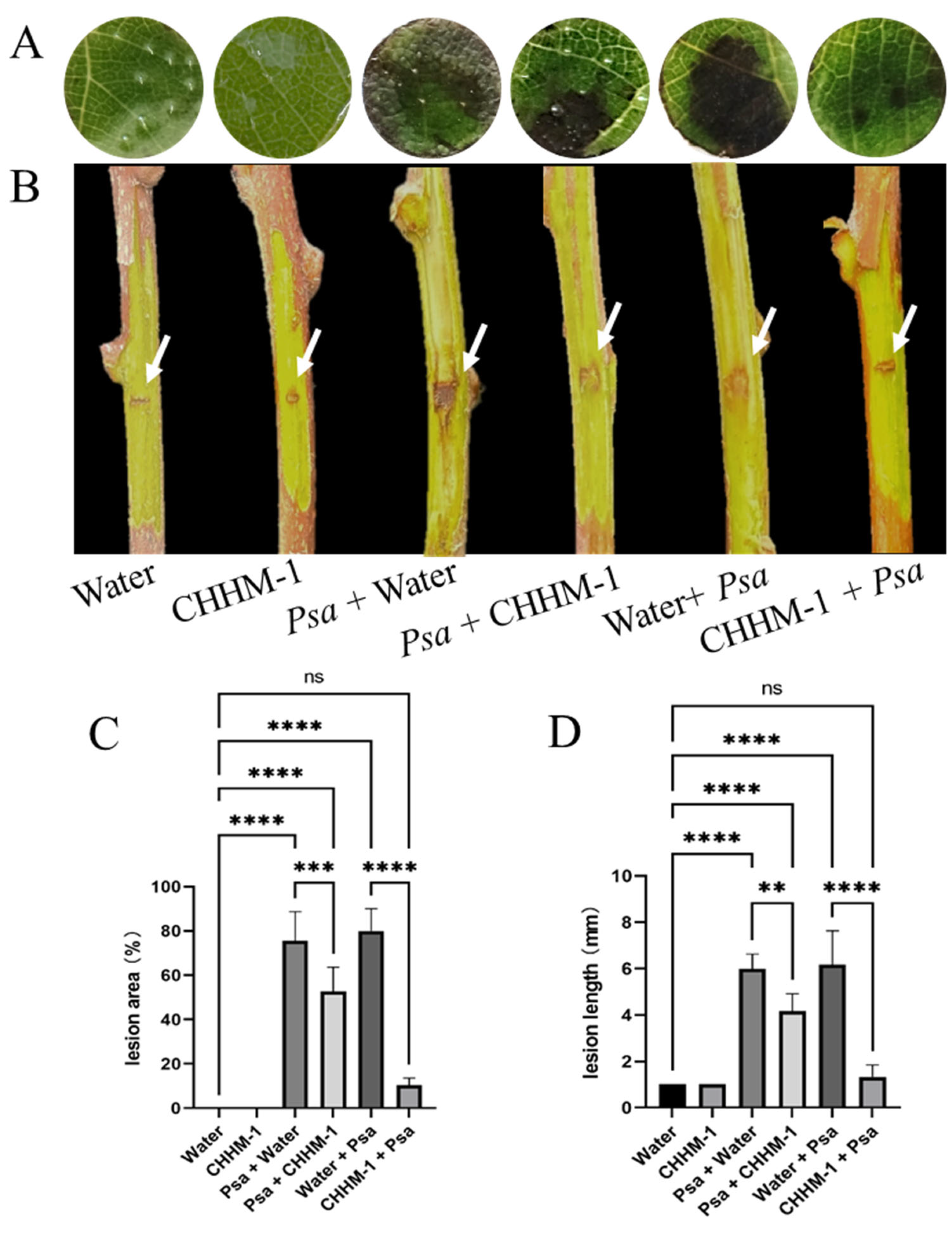 Microorganisms 13 02400 g012