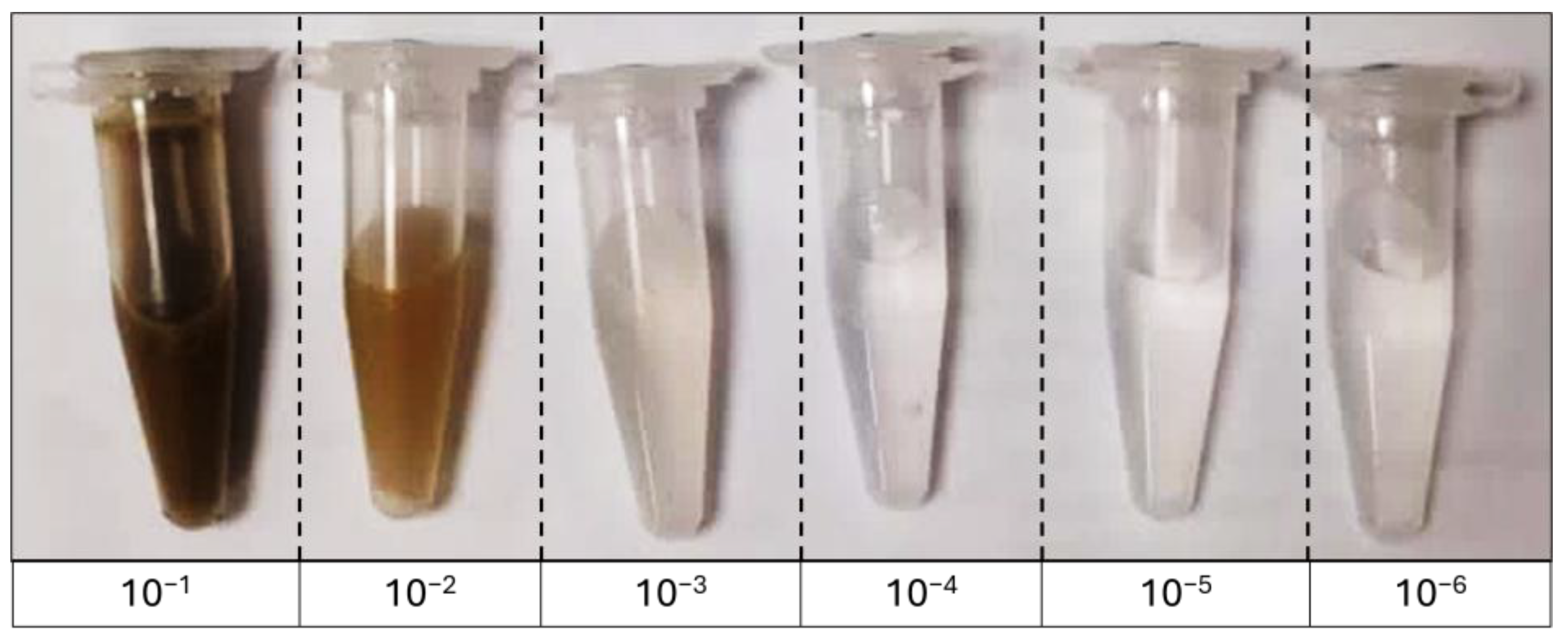 Microorganisms 13 02401 g001 Microorganisms 13 02401 g001