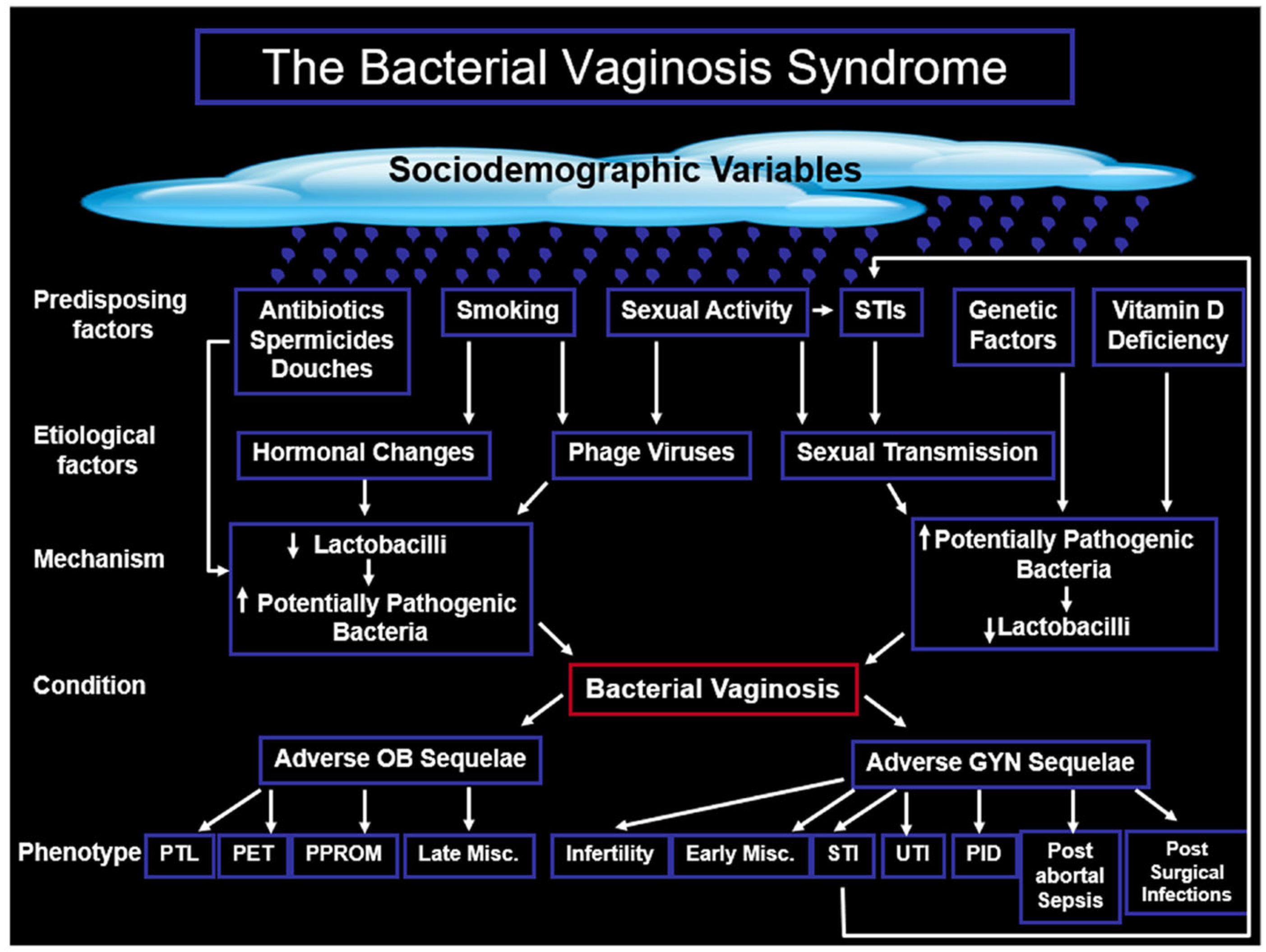 Microorganisms 13 02410 g001 Microorganisms 13 02410 g001