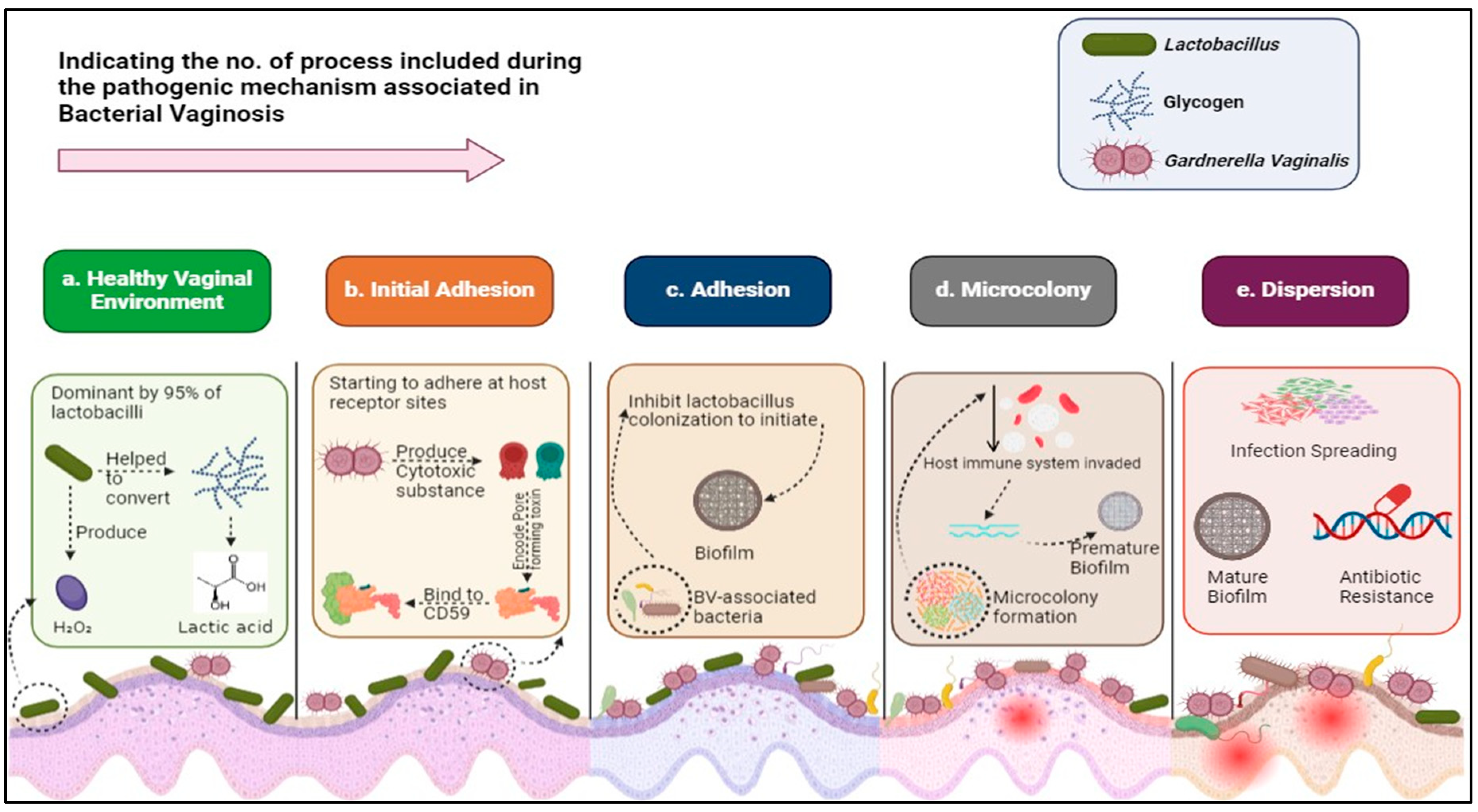 Microorganisms 13 02411 g002 Microorganisms 13 02411 g002