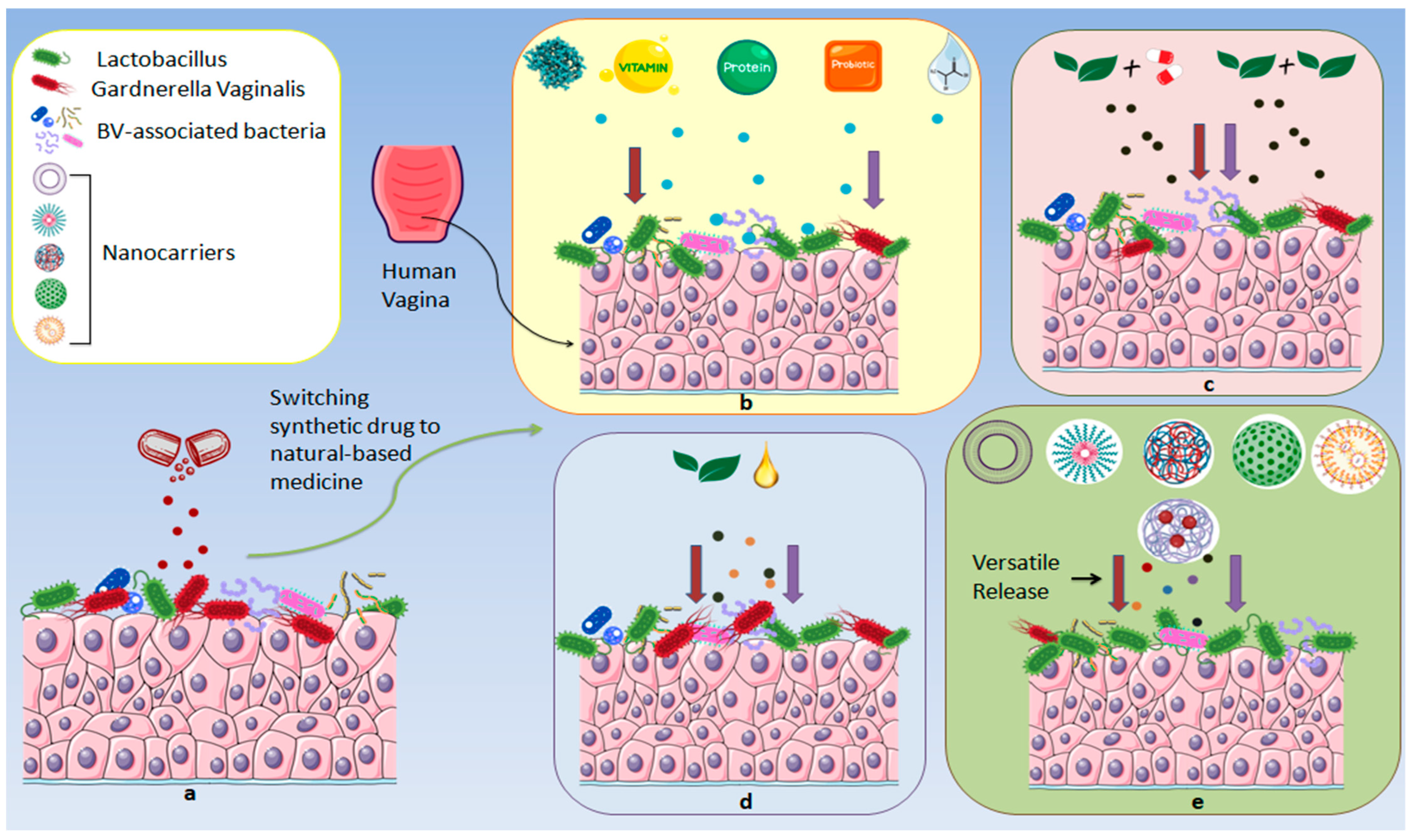 Microorganisms 13 02411 g004 Microorganisms 13 02411 g004