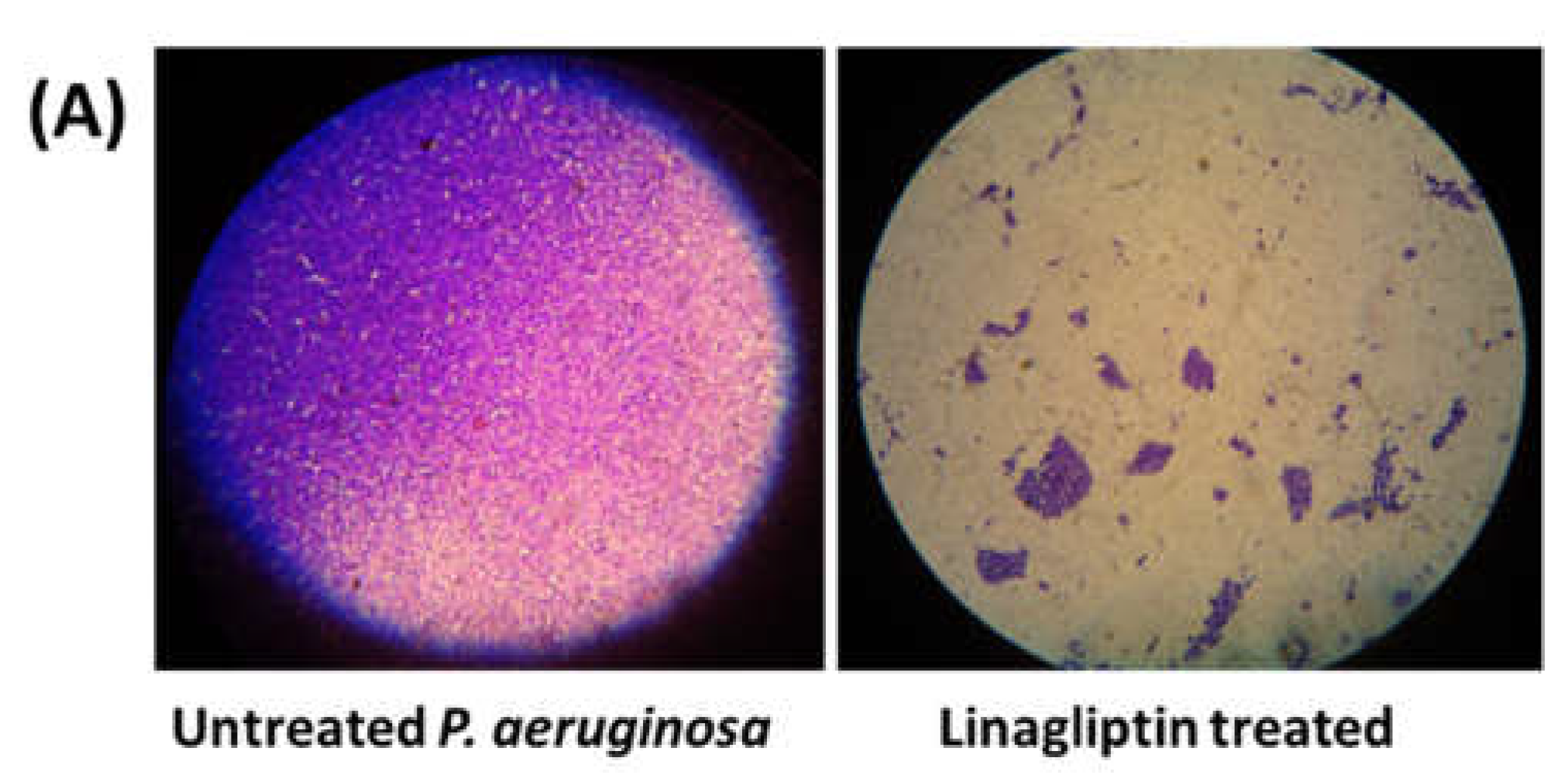 Microorganisms 13 02415 i001