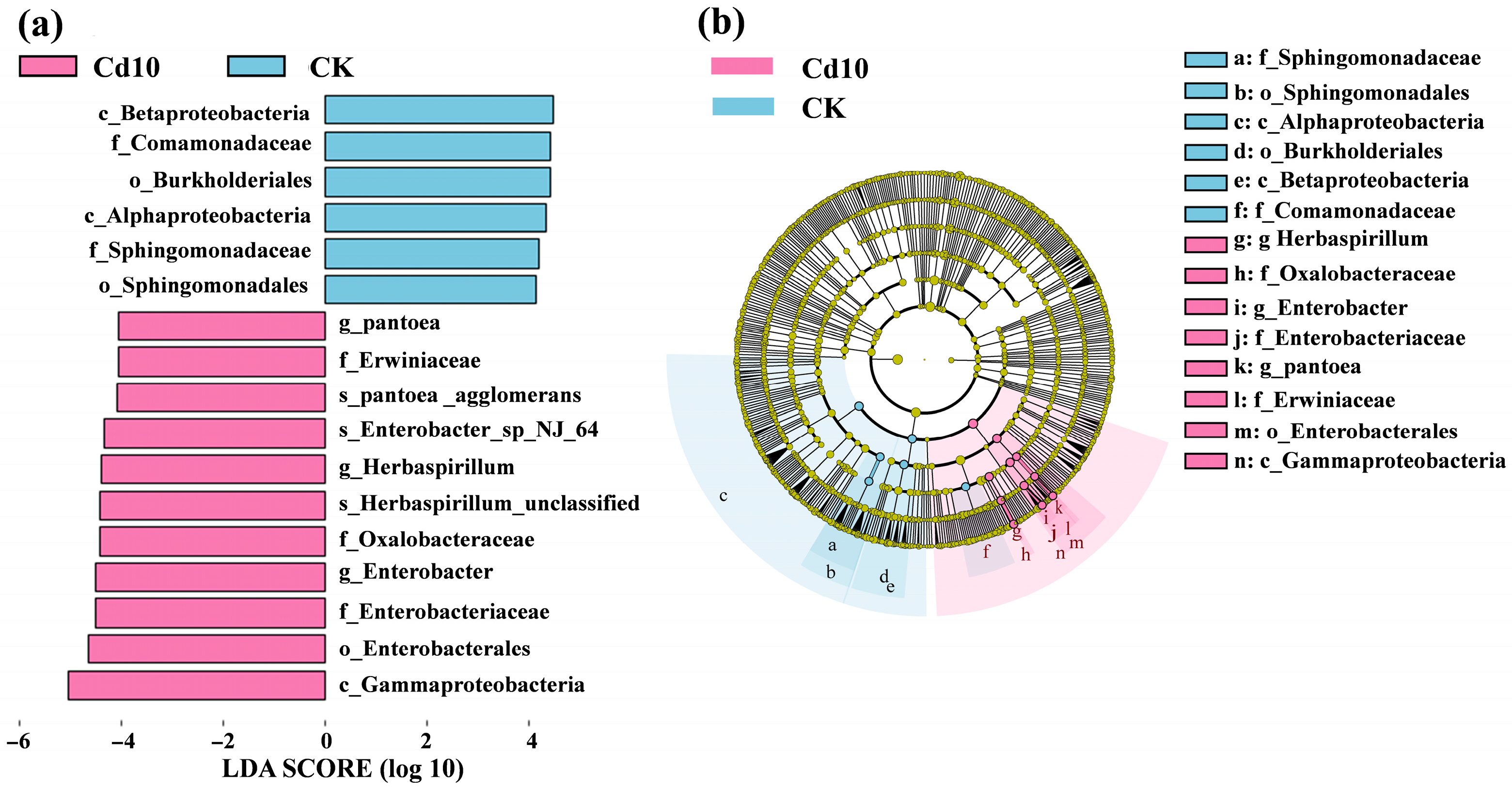 Microorganisms 13 02423 g006 Microorganisms 13 02423 g006