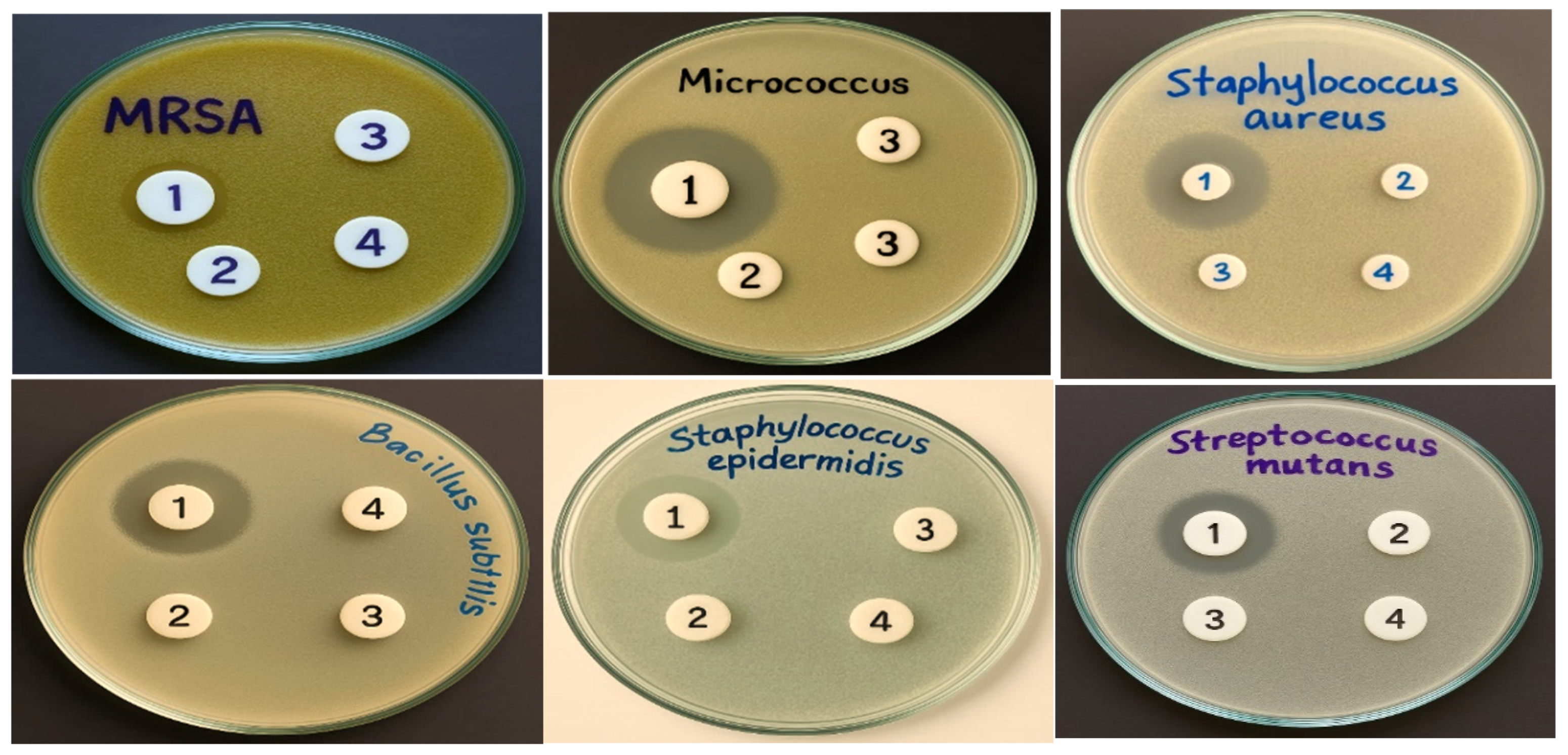 Microorganisms 13 02424 sch001 Microorganisms 13 02424 sch001
