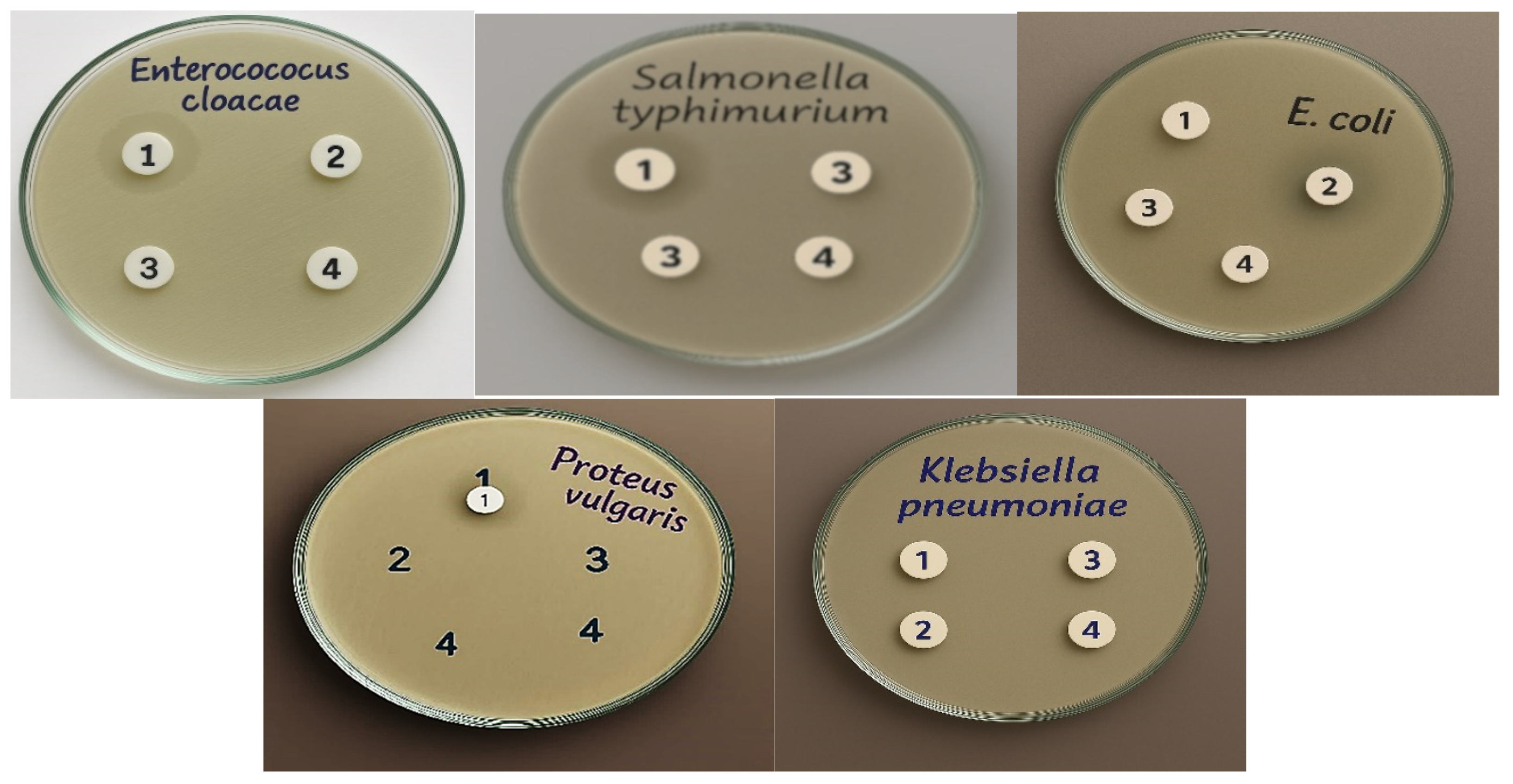 Microorganisms 13 02424 sch002 Microorganisms 13 02424 sch002