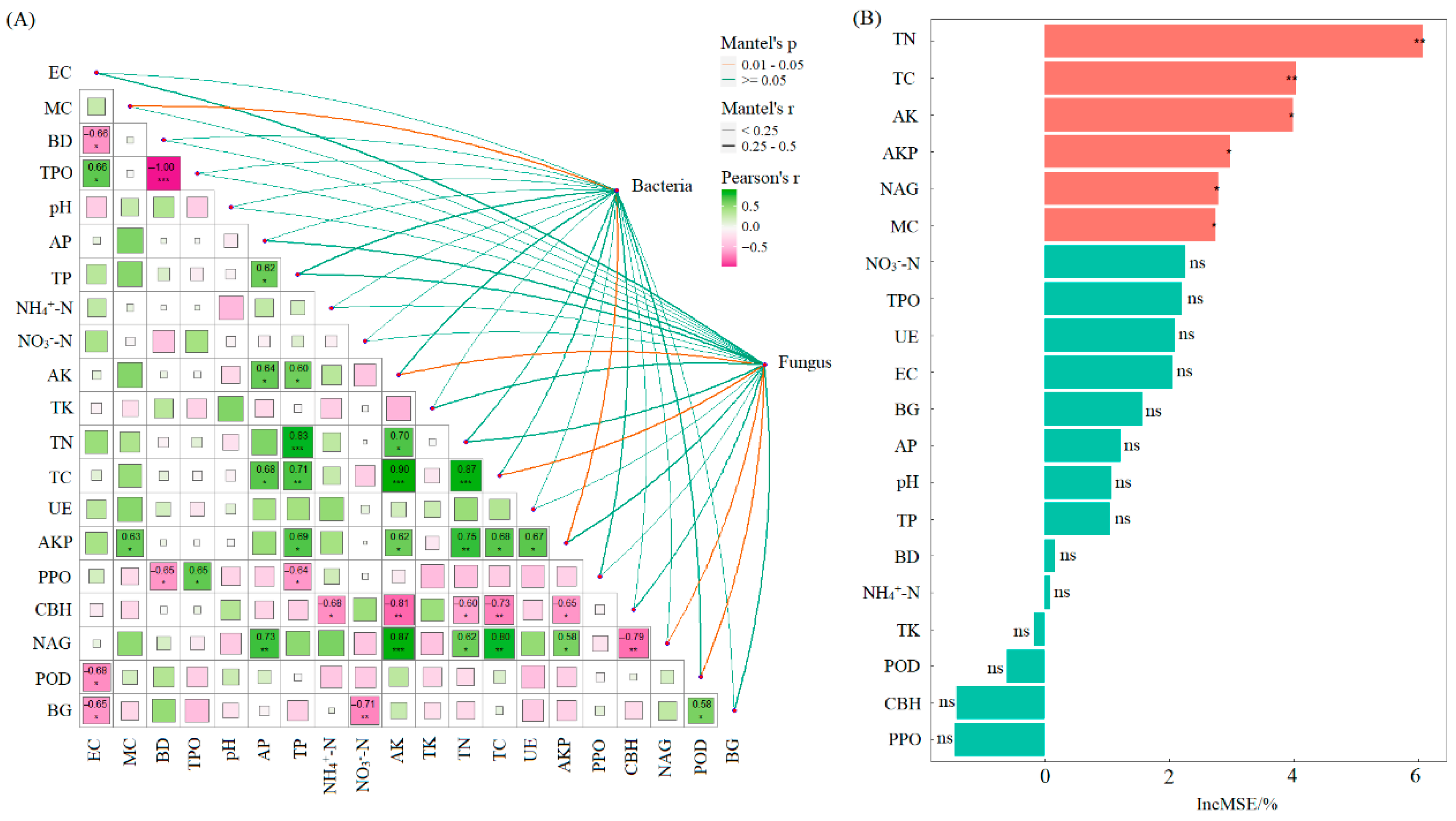 Microorganisms 13 02425 g006 Microorganisms 13 02425 g006