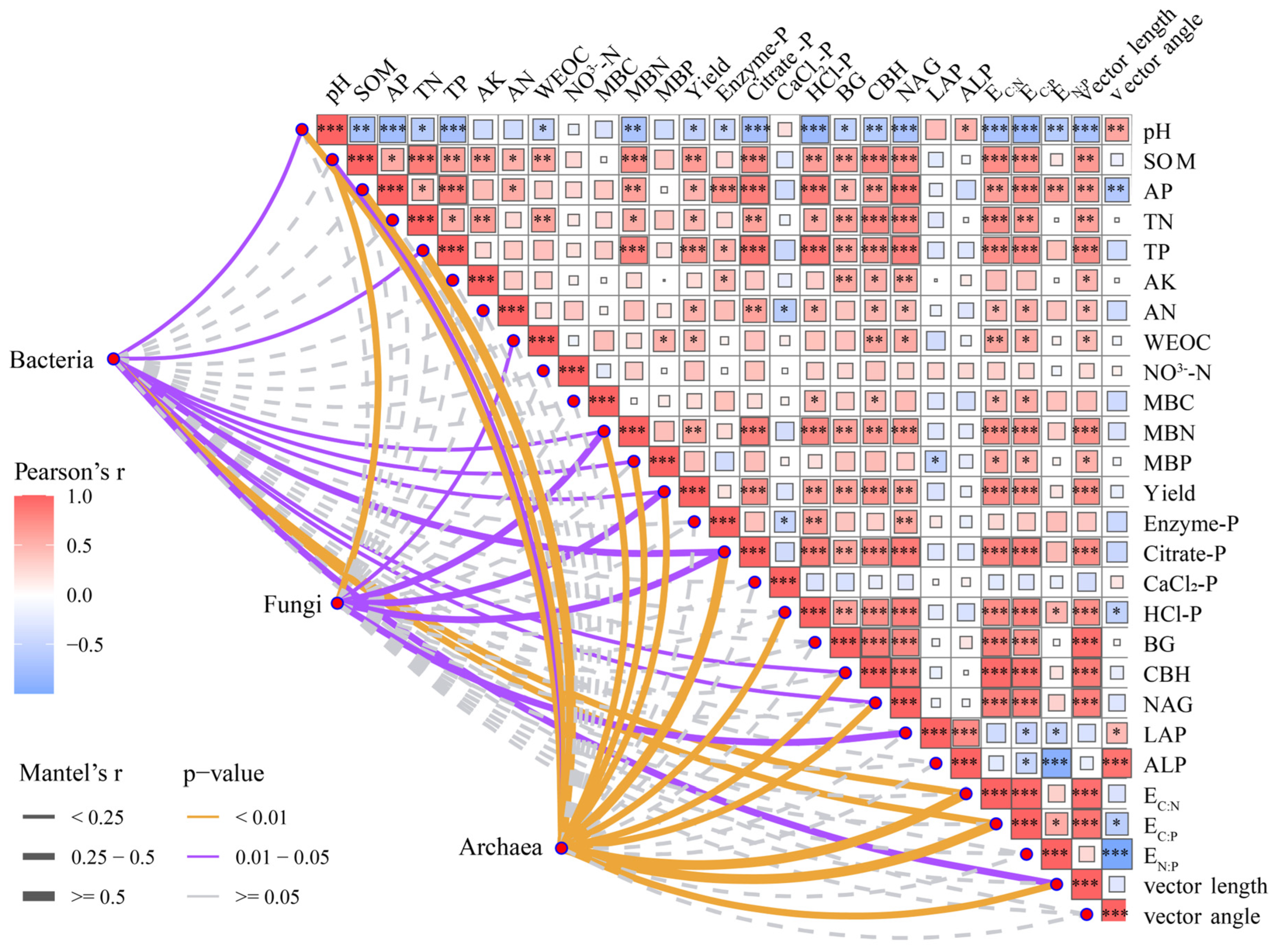 Microorganisms 13 02434 g006 Microorganisms 13 02434 g006