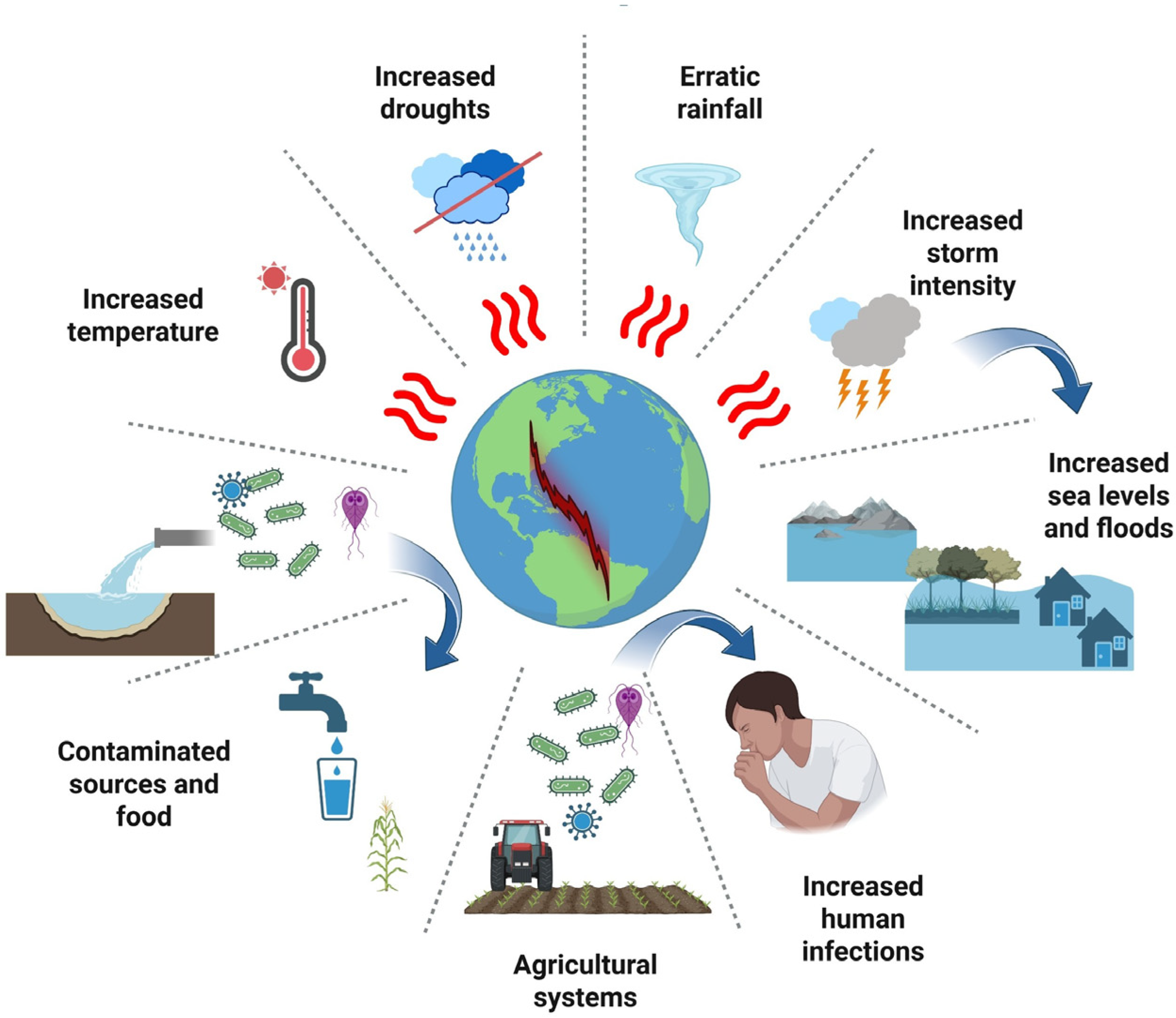 Microorganisms 13 02435 g001