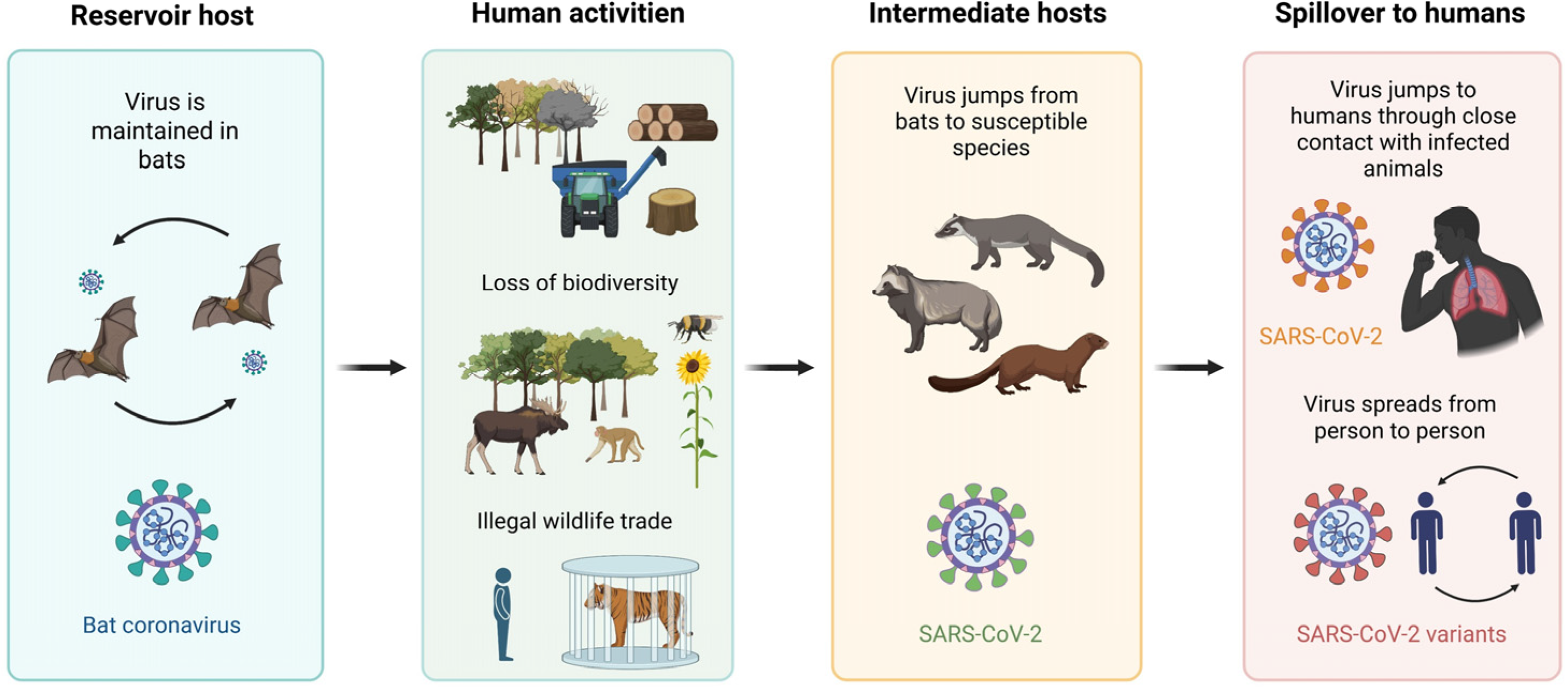 Microorganisms 13 02435 g003