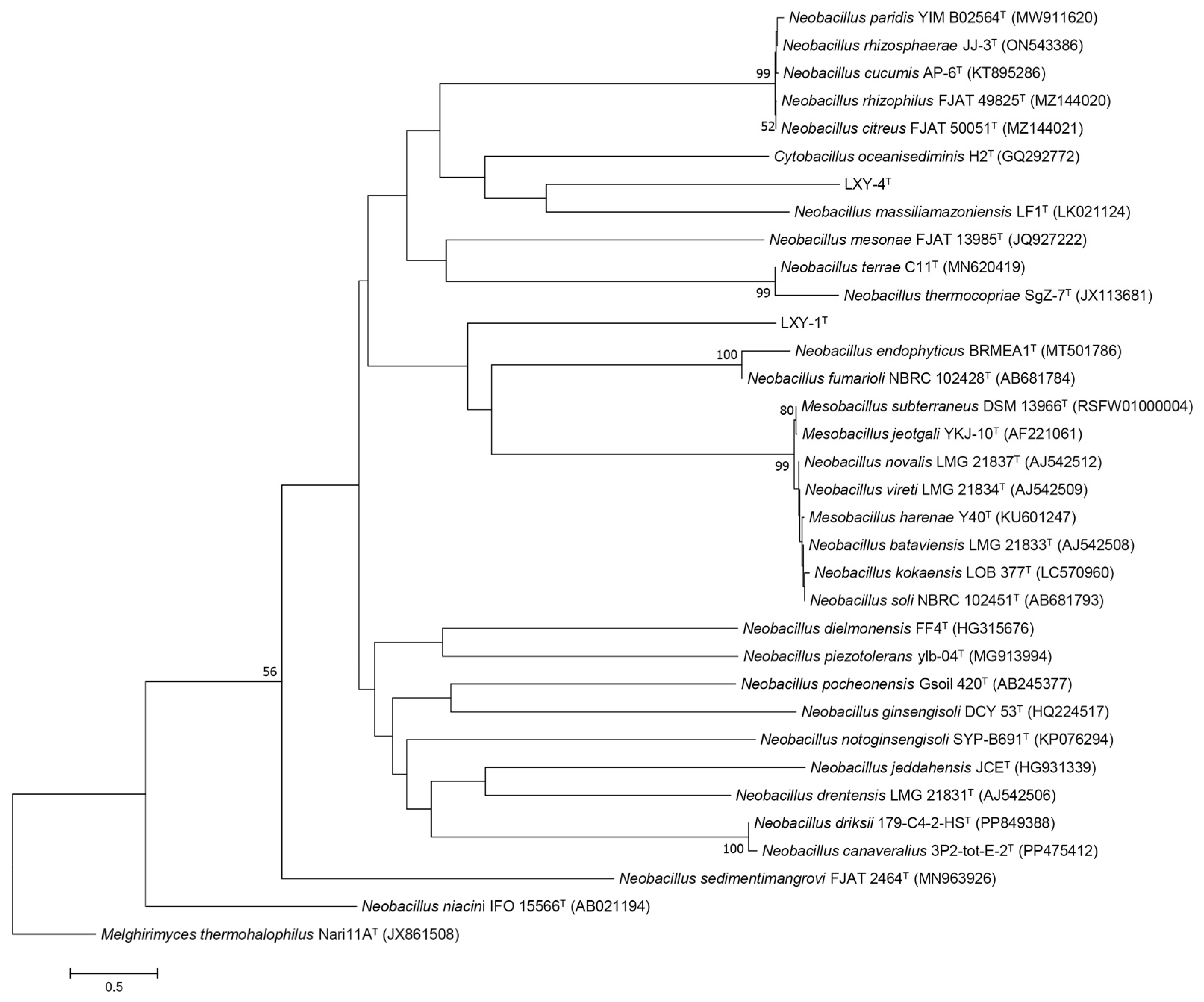 Microorganisms 13 02437 g003 Microorganisms 13 02437 g003