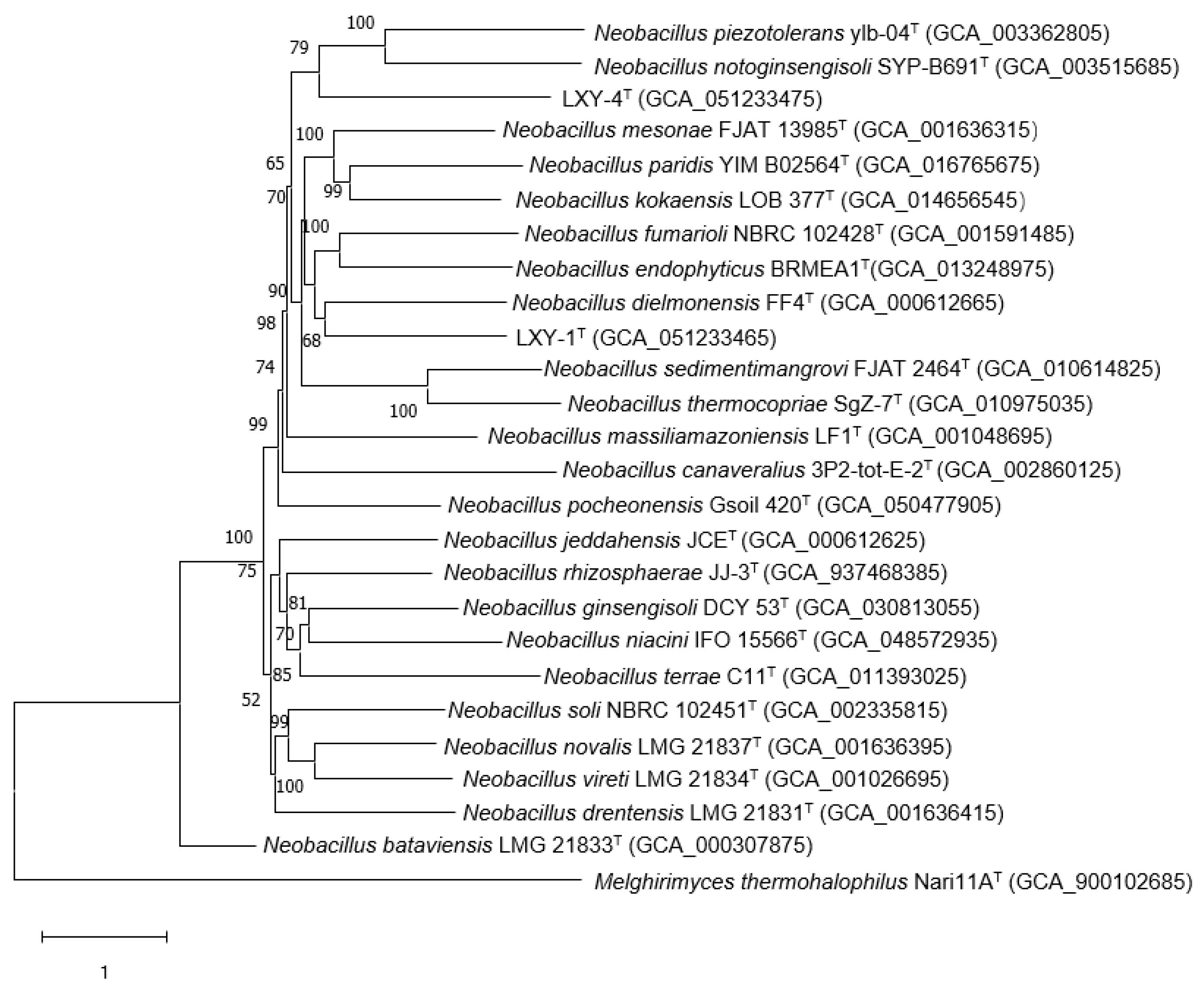 Microorganisms 13 02437 g004 Microorganisms 13 02437 g004
