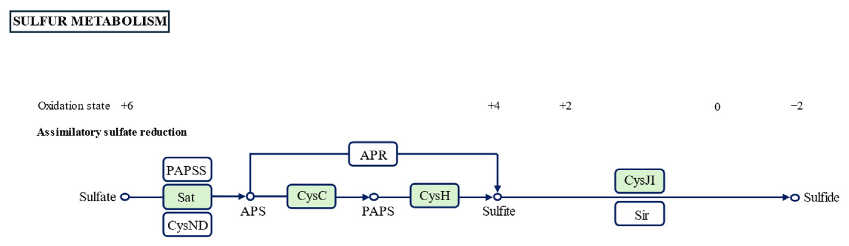 Microorganisms 13 02437 g005 Microorganisms 13 02437 g005