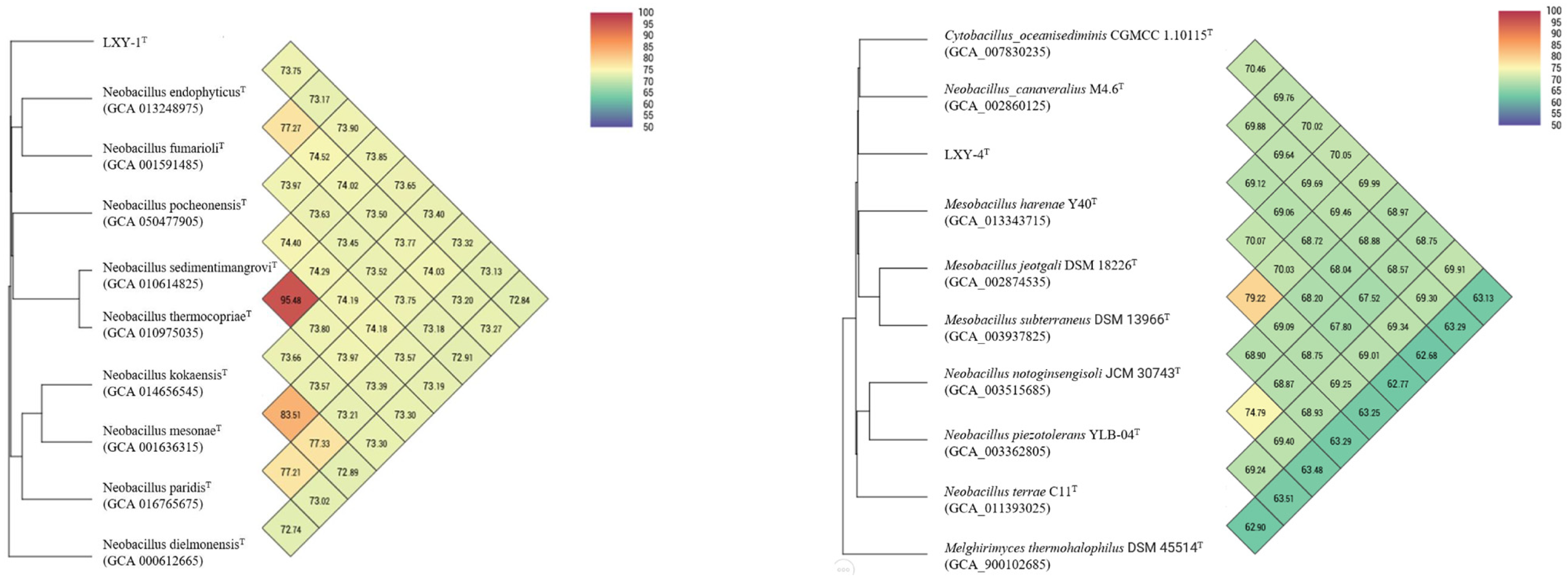 Microorganisms 13 02437 g006 Microorganisms 13 02437 g006