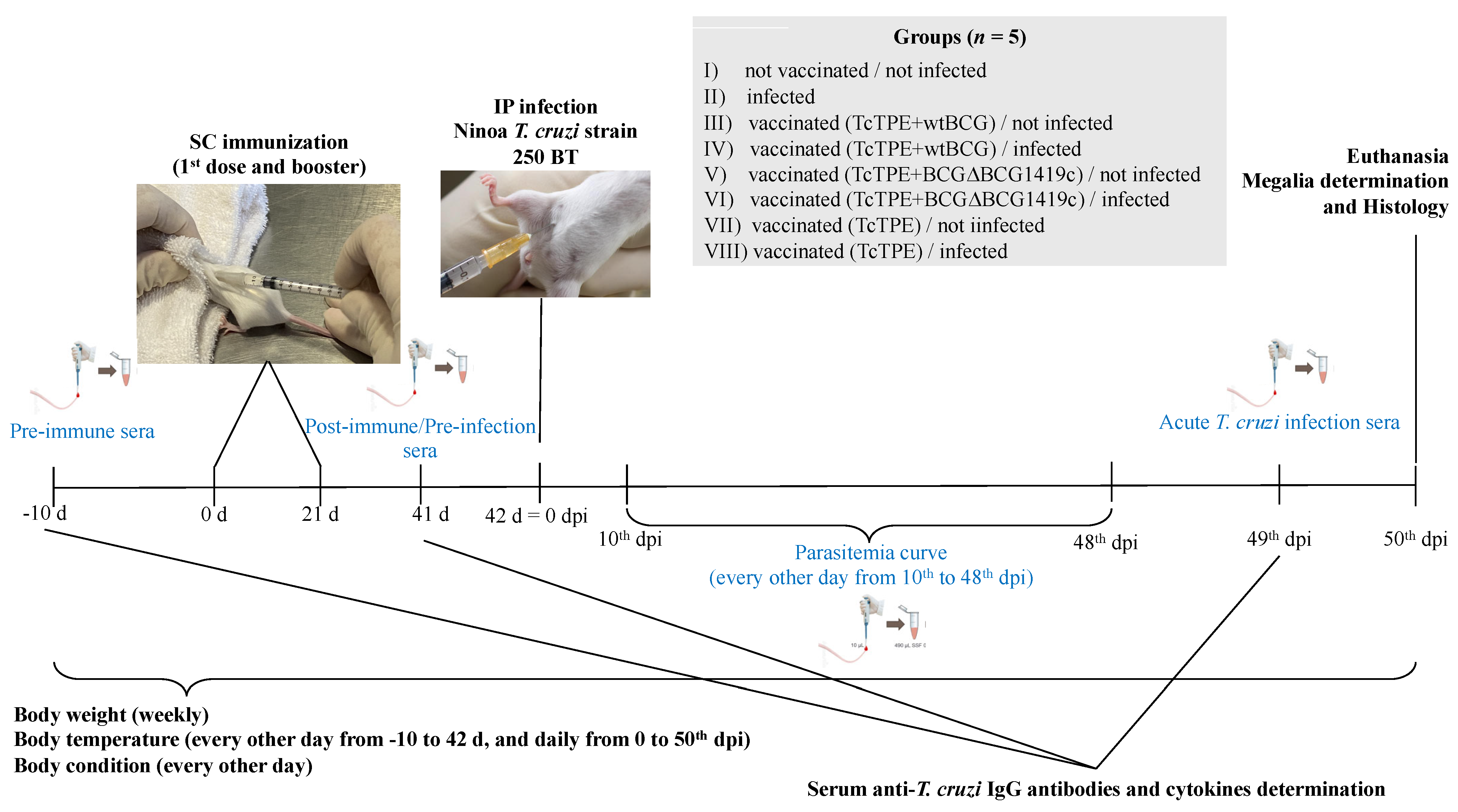 Microorganisms 13 02447 g001 Microorganisms 13 02447 g001