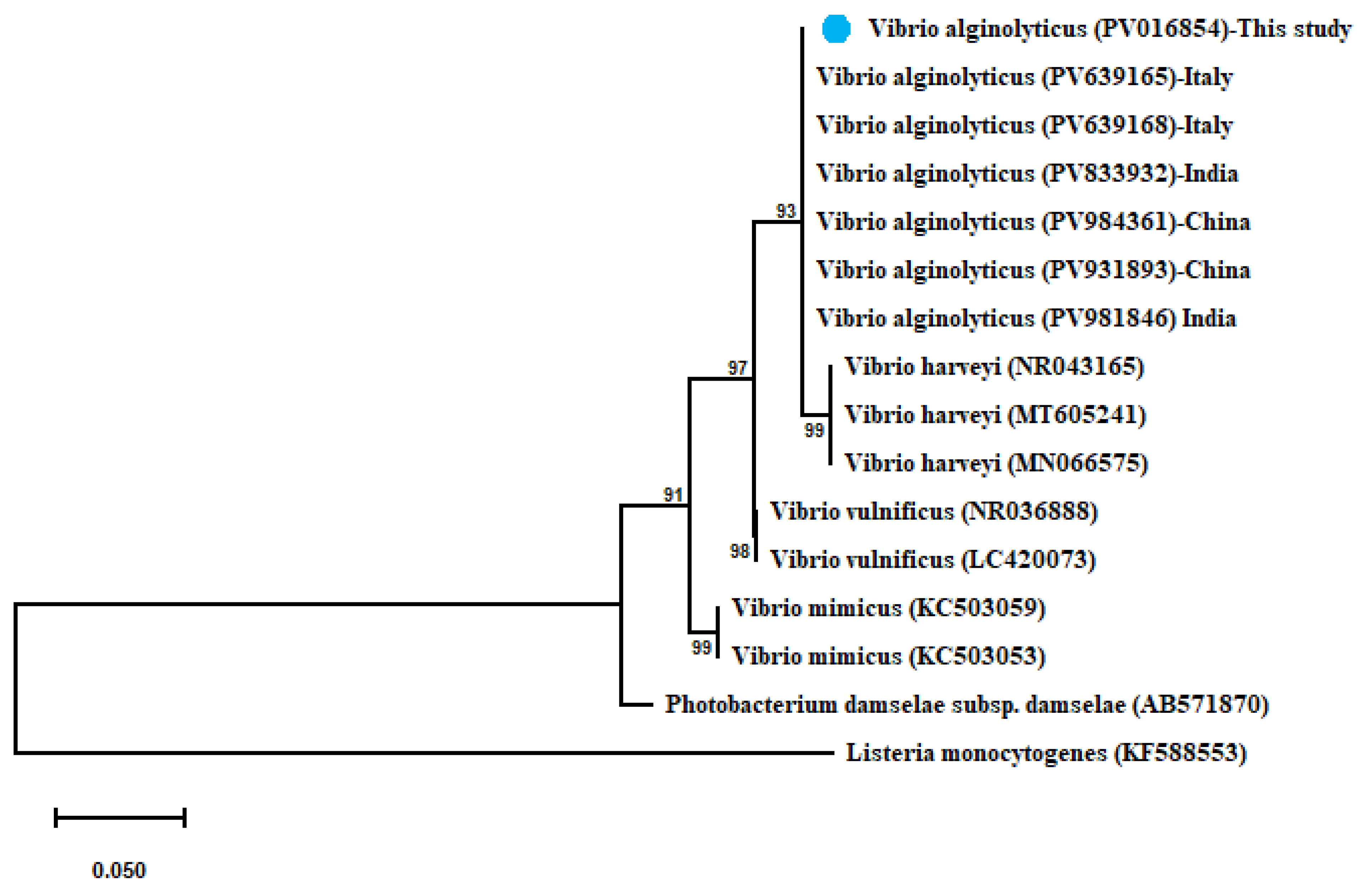 Microorganisms 13 02448 g003 Microorganisms 13 02448 g003