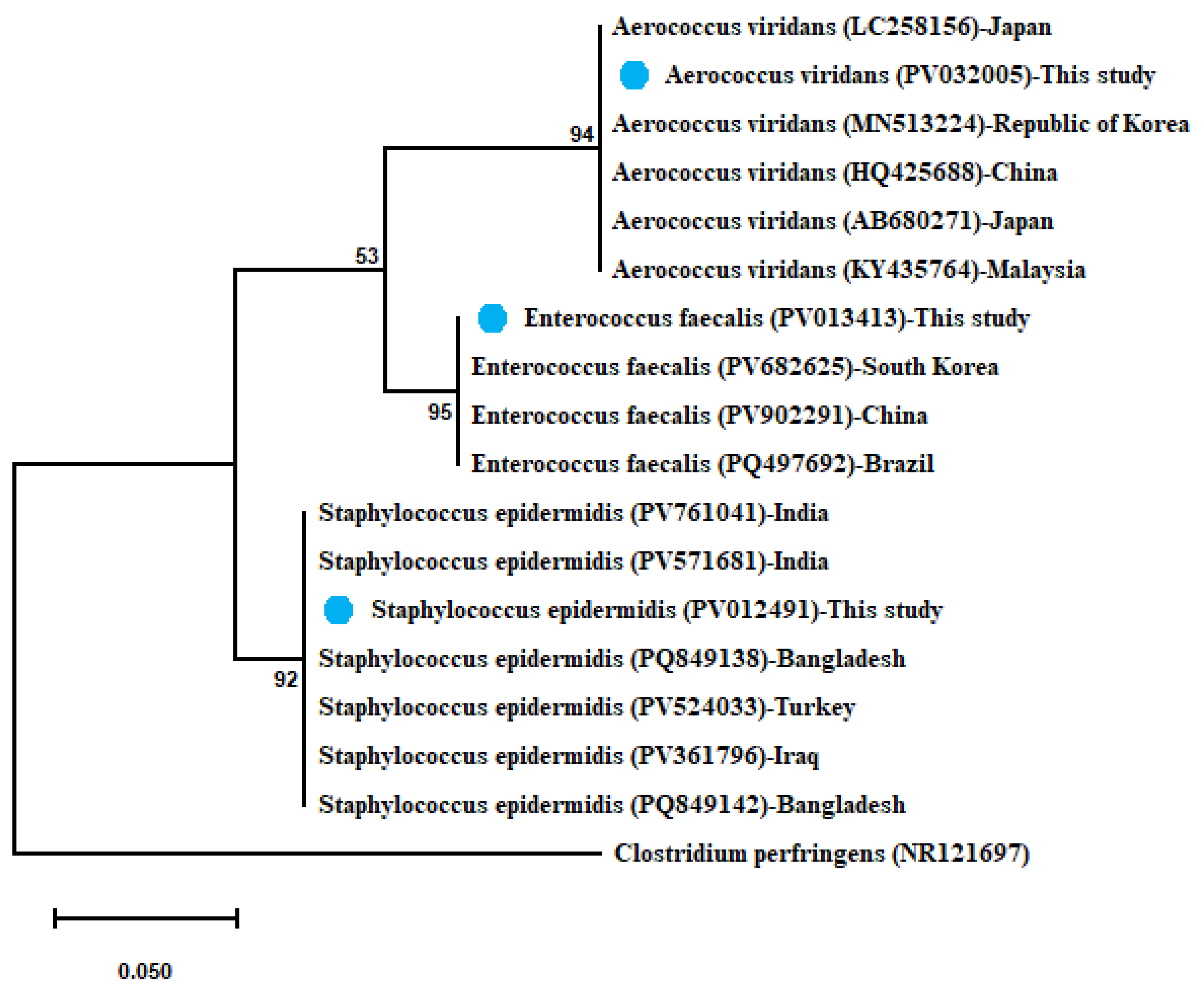 Microorganisms 13 02448 g004 Microorganisms 13 02448 g004