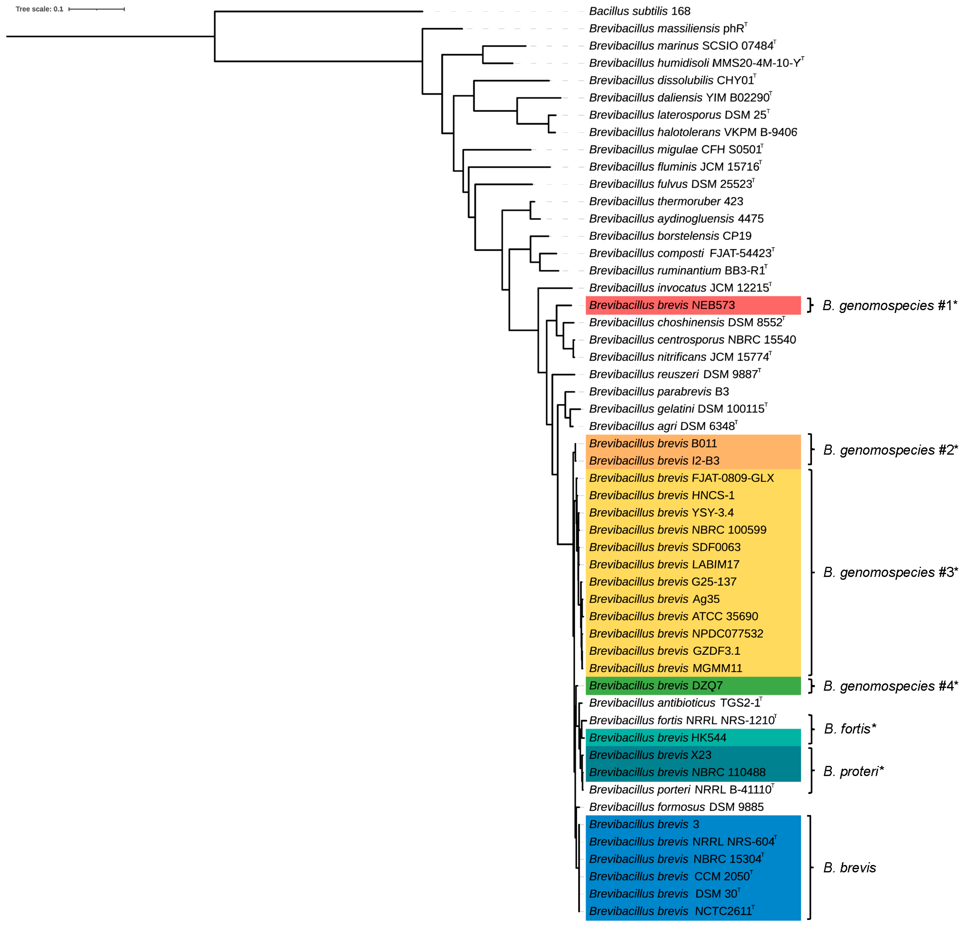 Microorganisms 13 02456 g001 Microorganisms 13 02456 g001