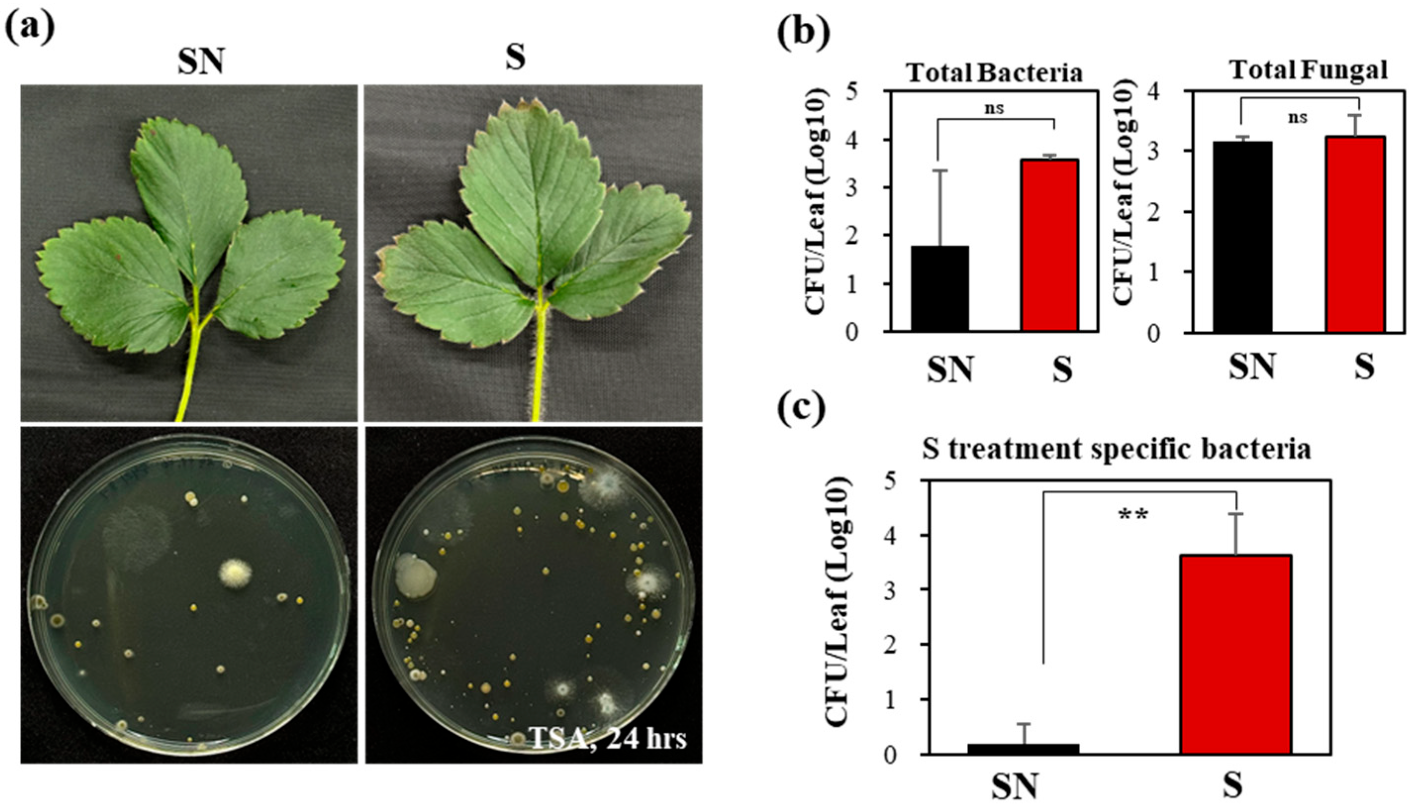 Microorganisms 13 02461 g006