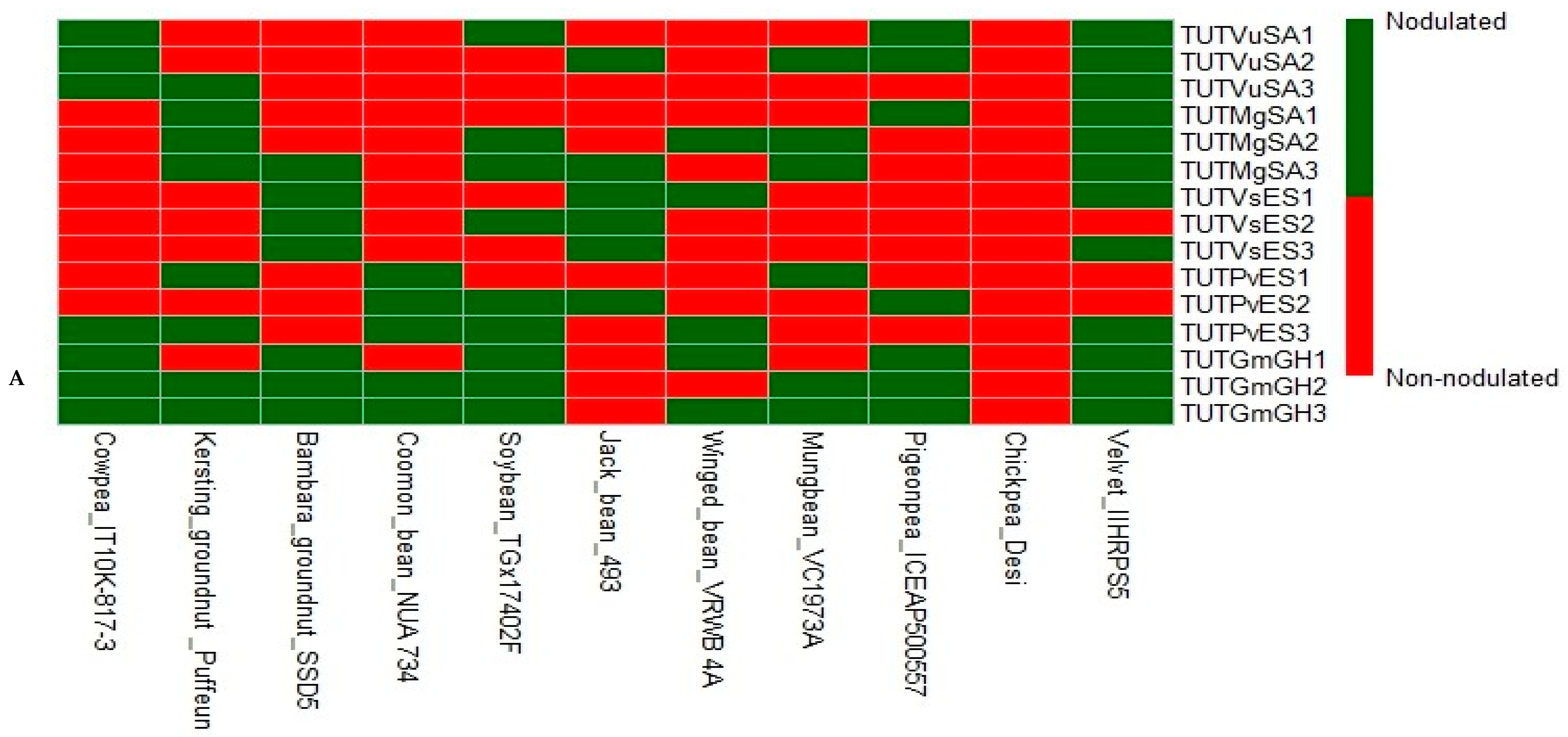Microorganisms 13 02463 g001a Microorganisms 13 02463 g001a