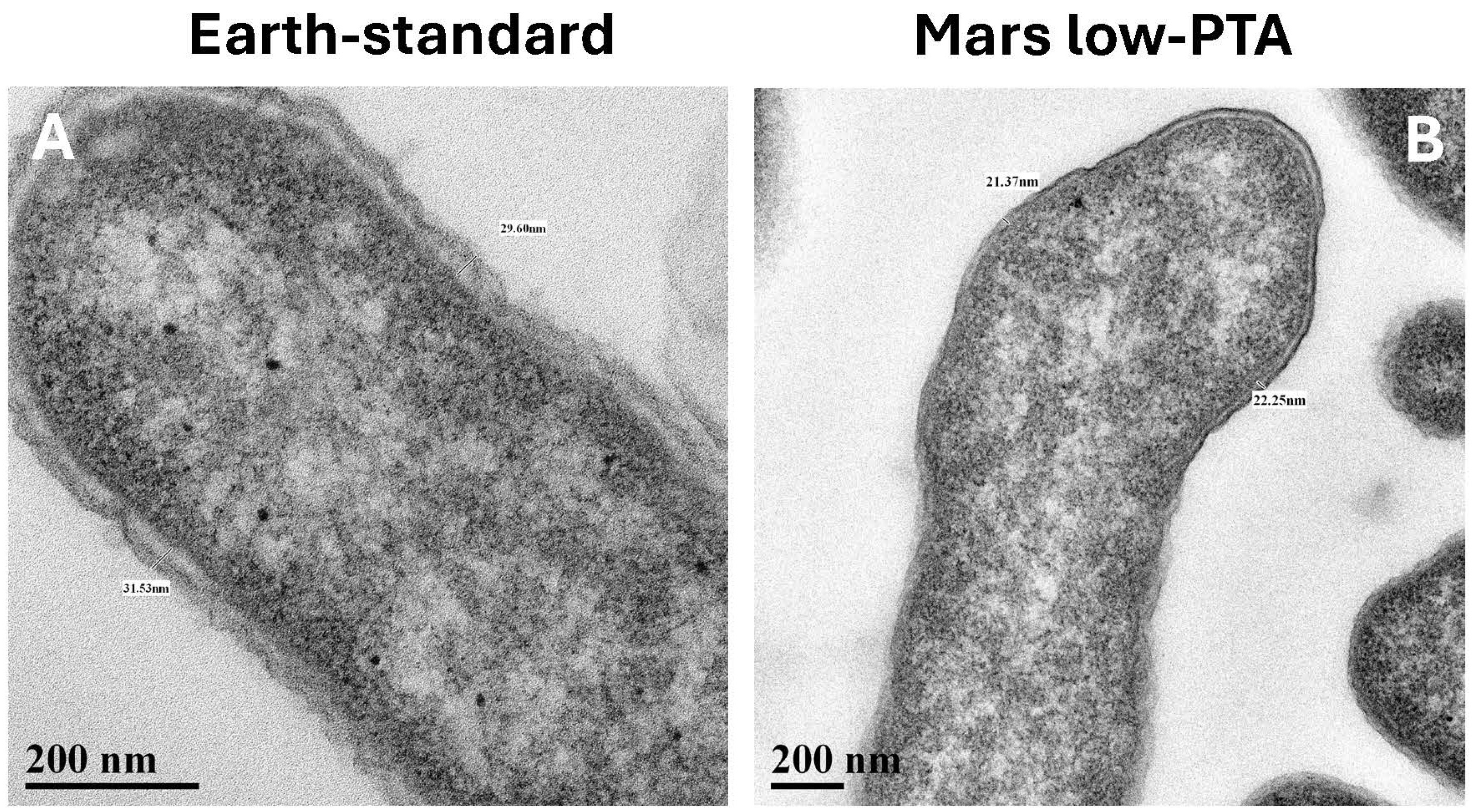 Microorganisms 13 02466 g003