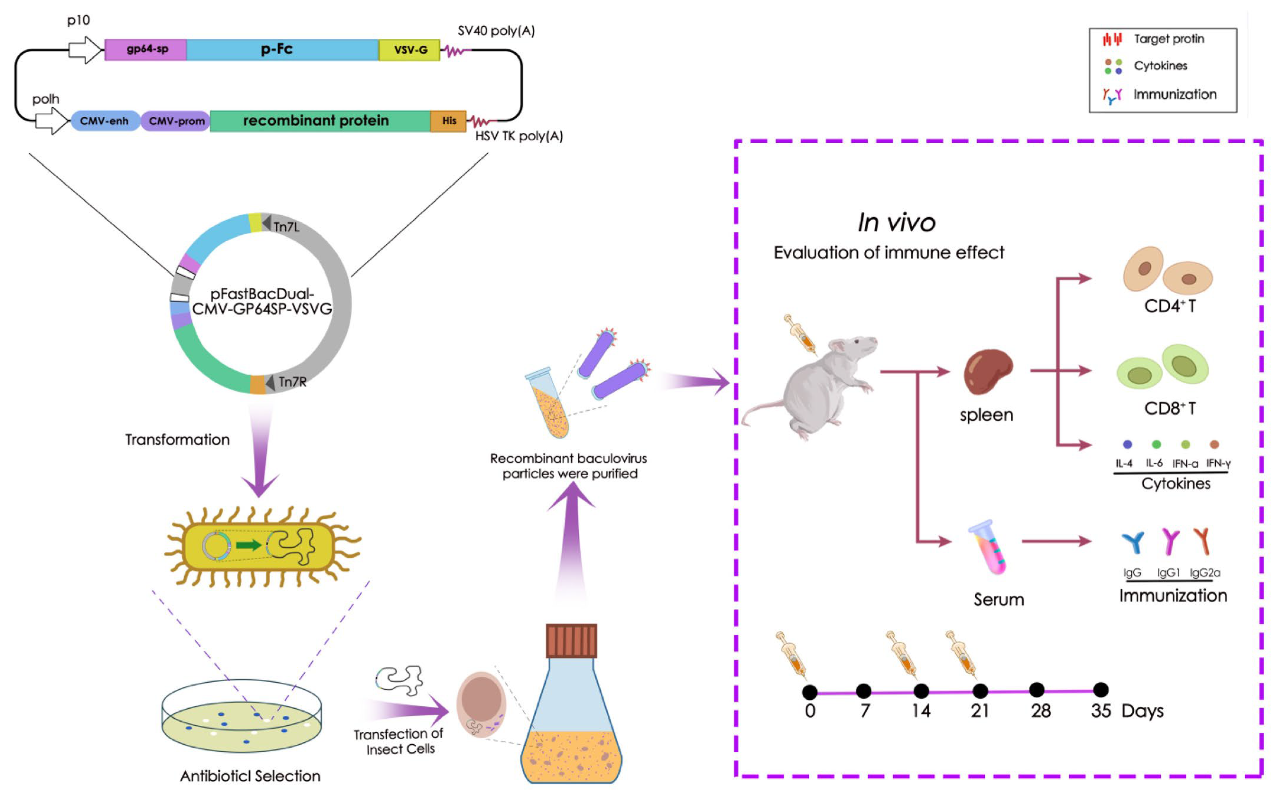 Microorganisms 13 02468 g001 Microorganisms 13 02468 g001