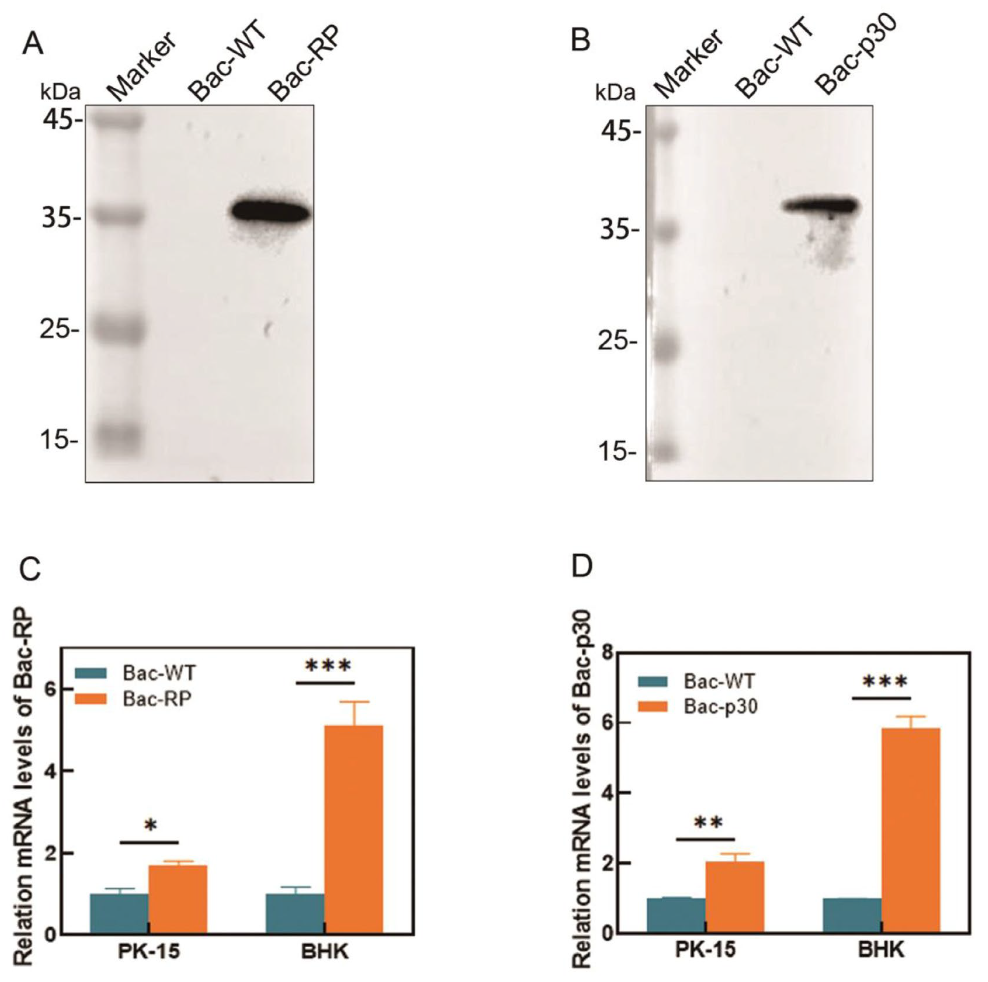 Microorganisms 13 02468 g004 Microorganisms 13 02468 g004