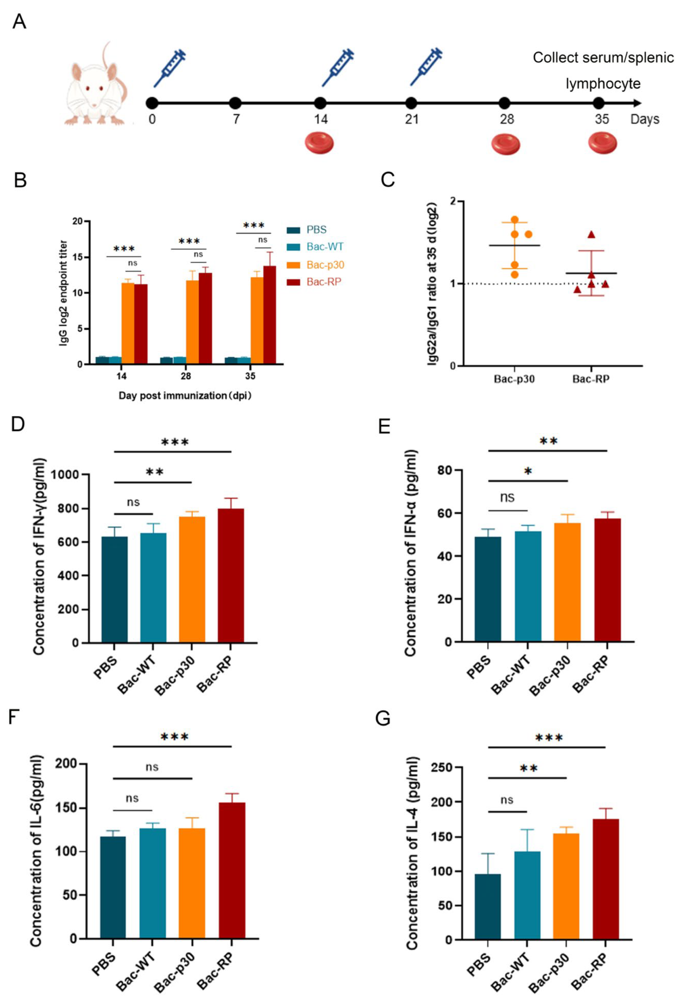 Microorganisms 13 02468 g005 Microorganisms 13 02468 g005