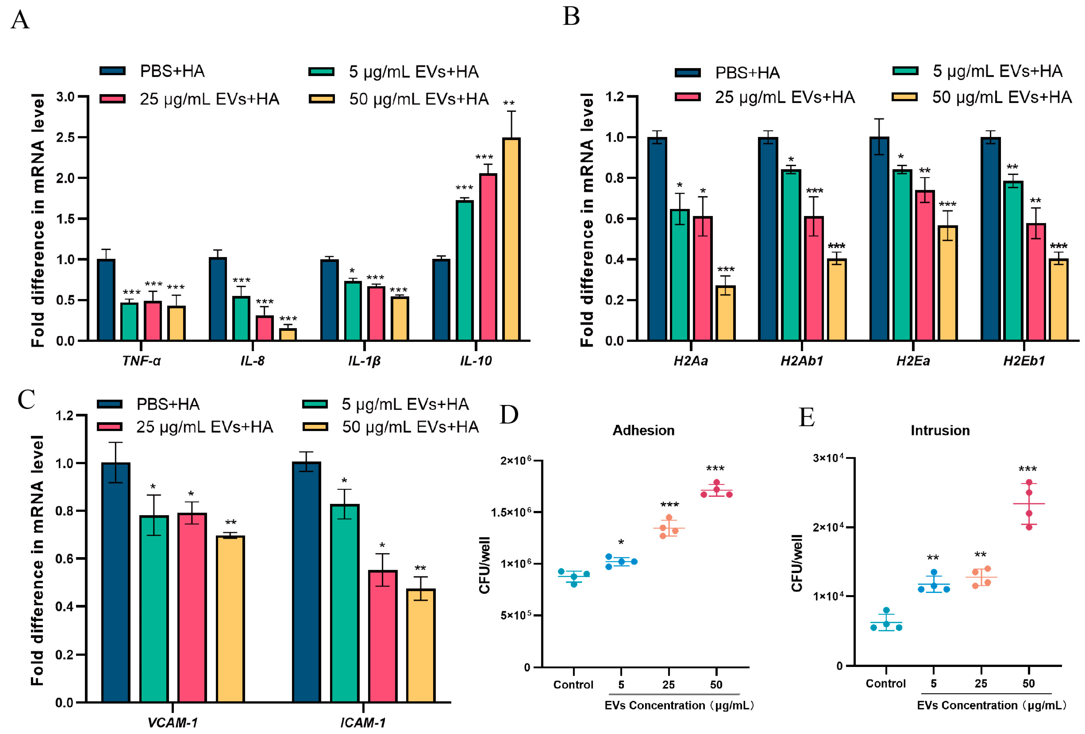 Microorganisms 13 02469 g003 Microorganisms 13 02469 g003