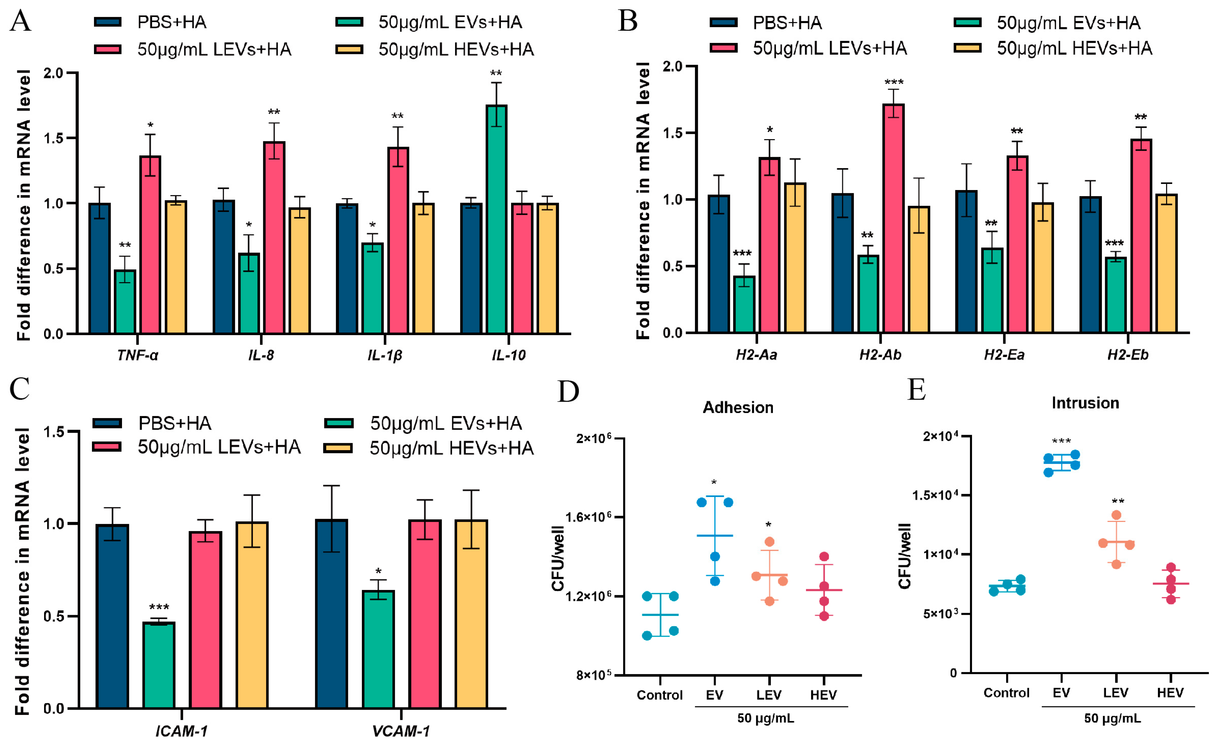 Microorganisms 13 02469 g004 Microorganisms 13 02469 g004