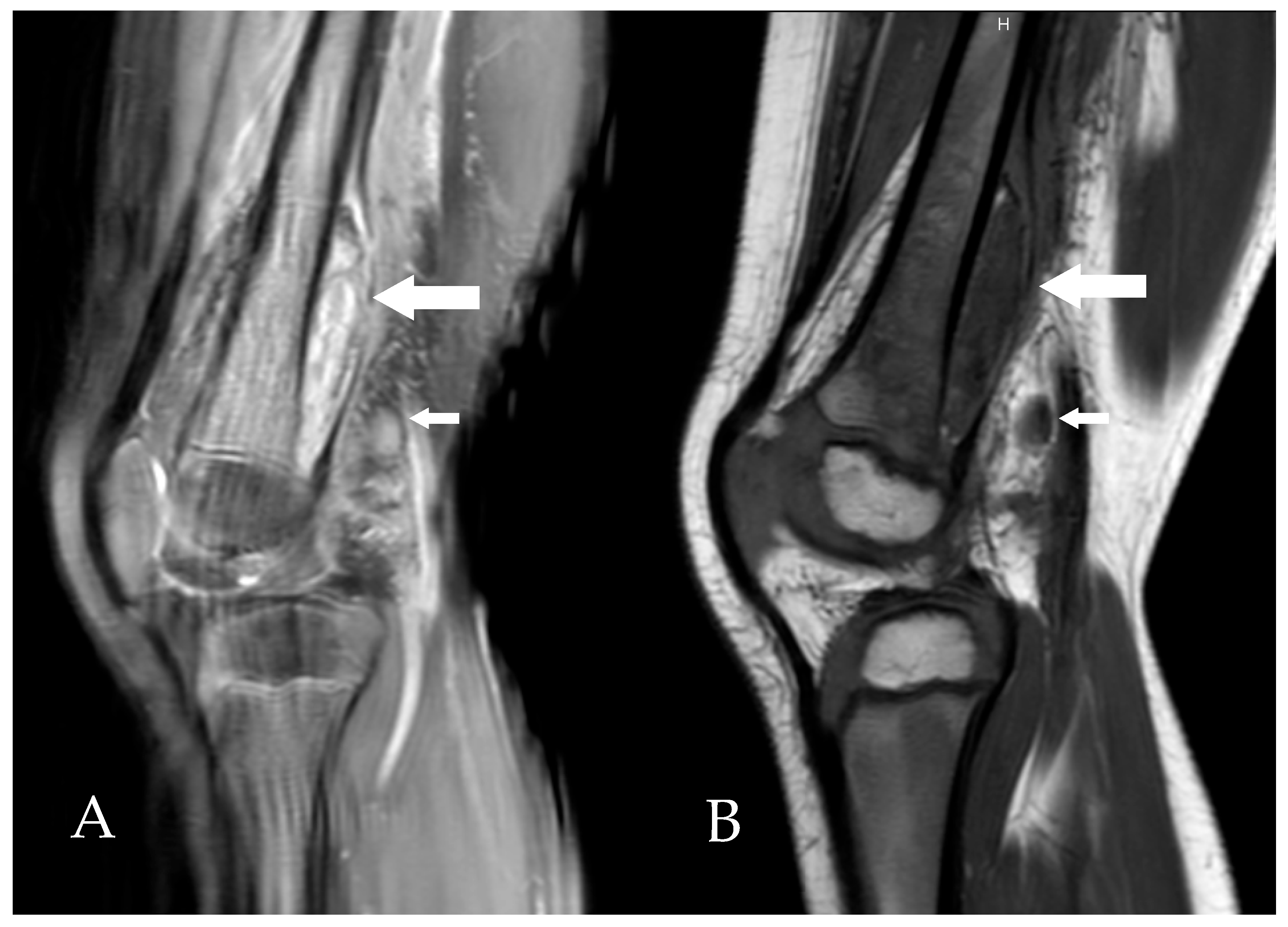 Microorganisms 13 02475 g001 Microorganisms 13 02475 g001