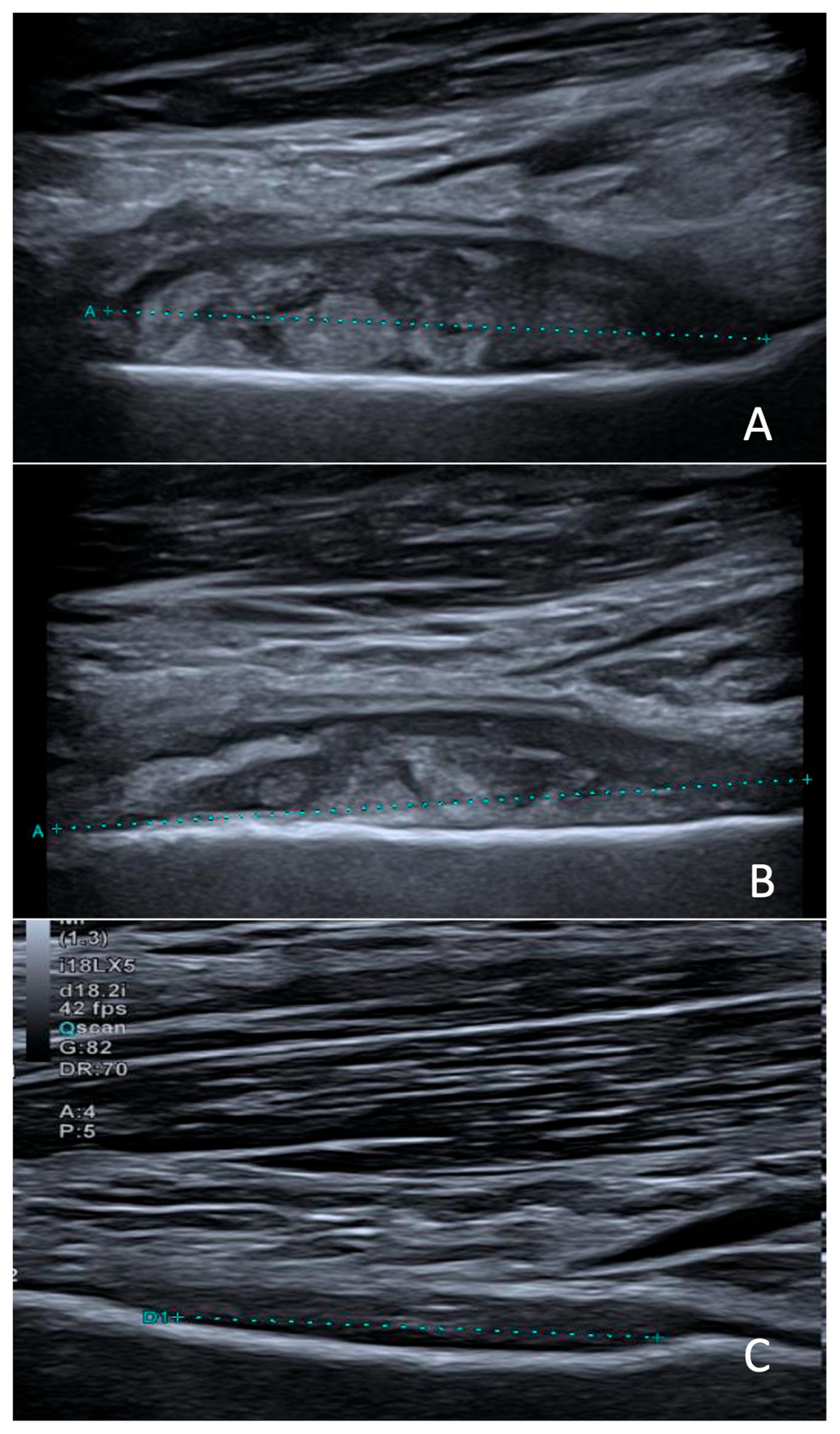 Microorganisms 13 02475 g002 Microorganisms 13 02475 g002