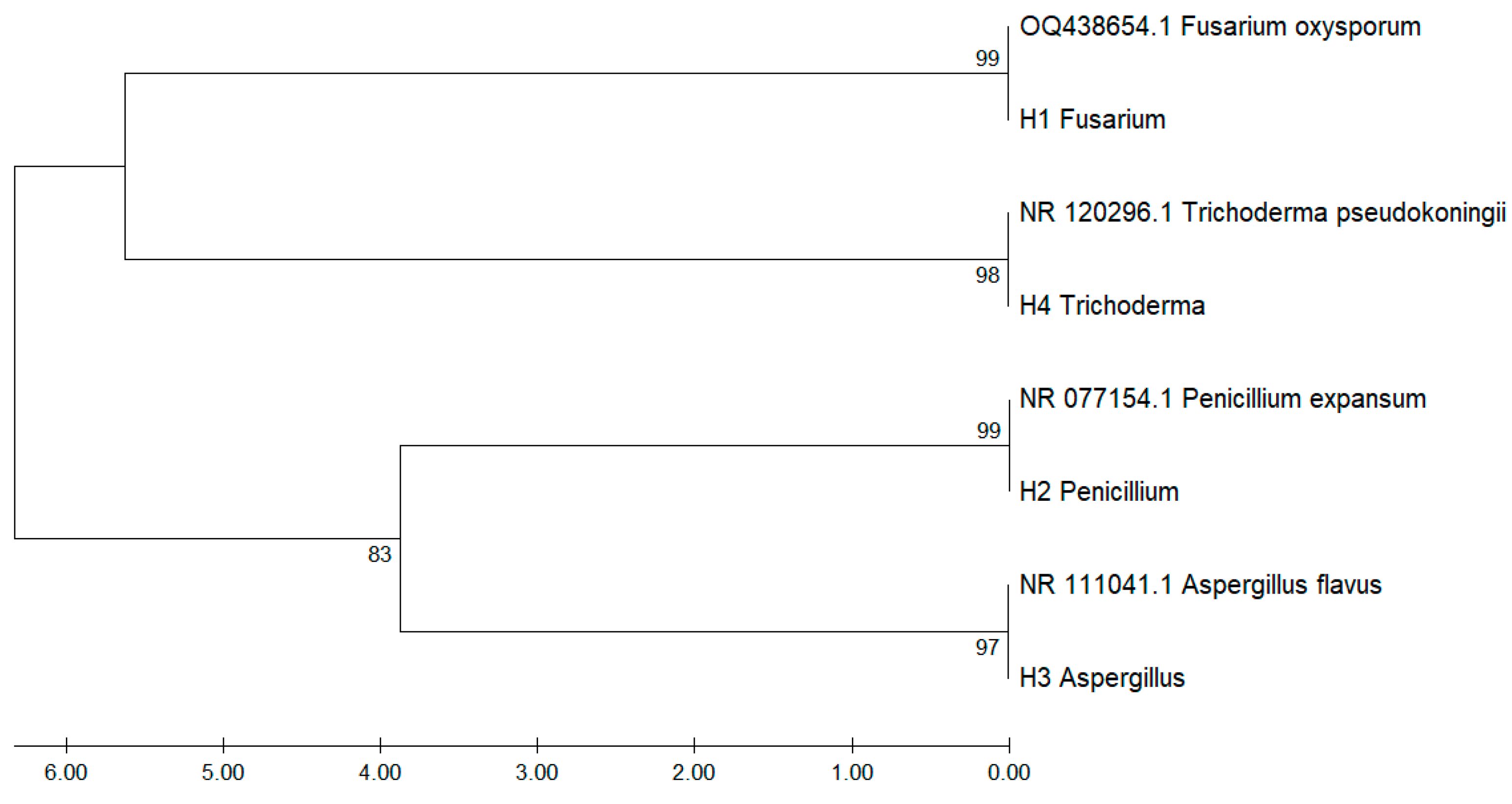 Microorganisms 13 02477 g003 Microorganisms 13 02477 g003